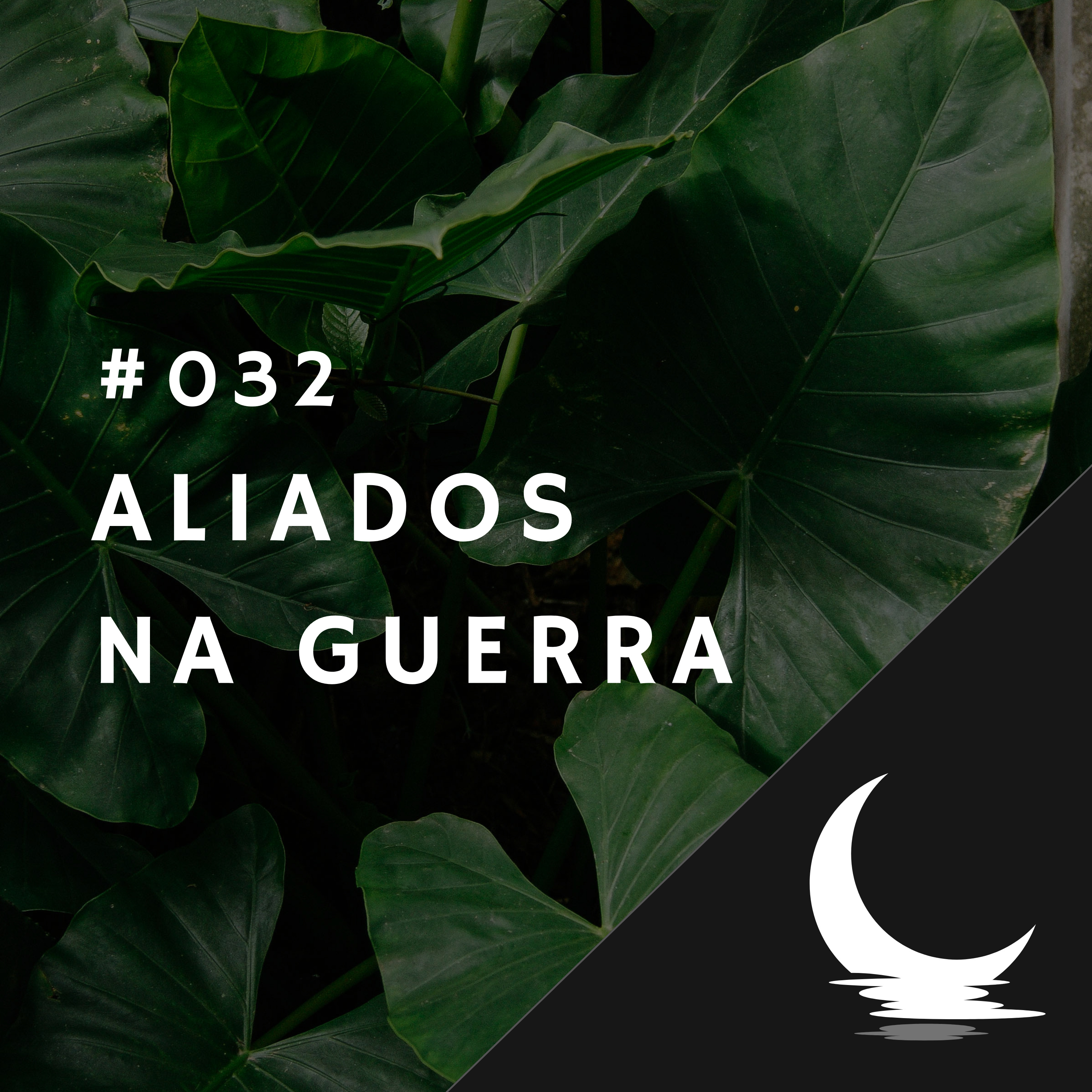 Diário de Bordo (por Júlio Augusto)