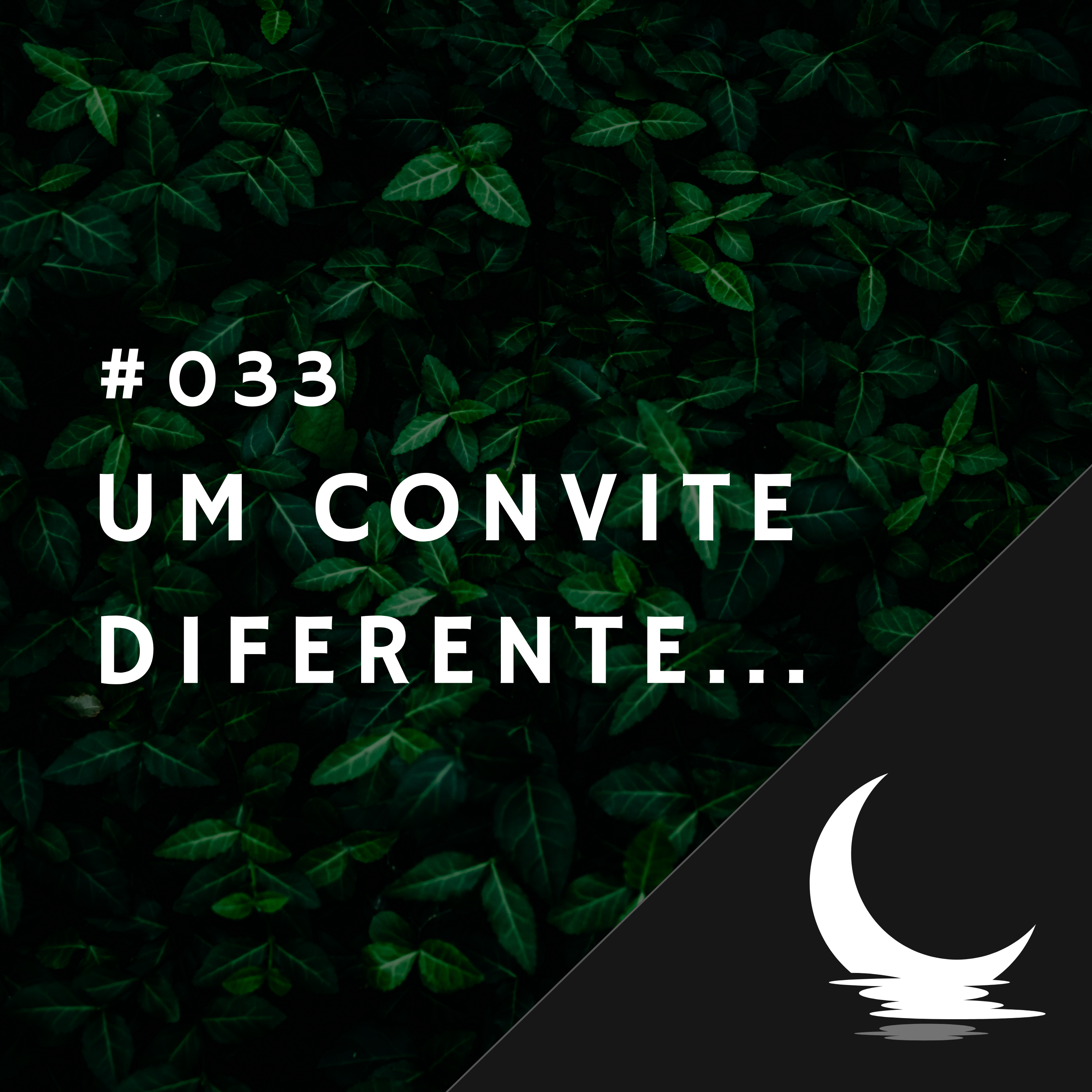 Diário de Bordo (por Júlio Augusto)