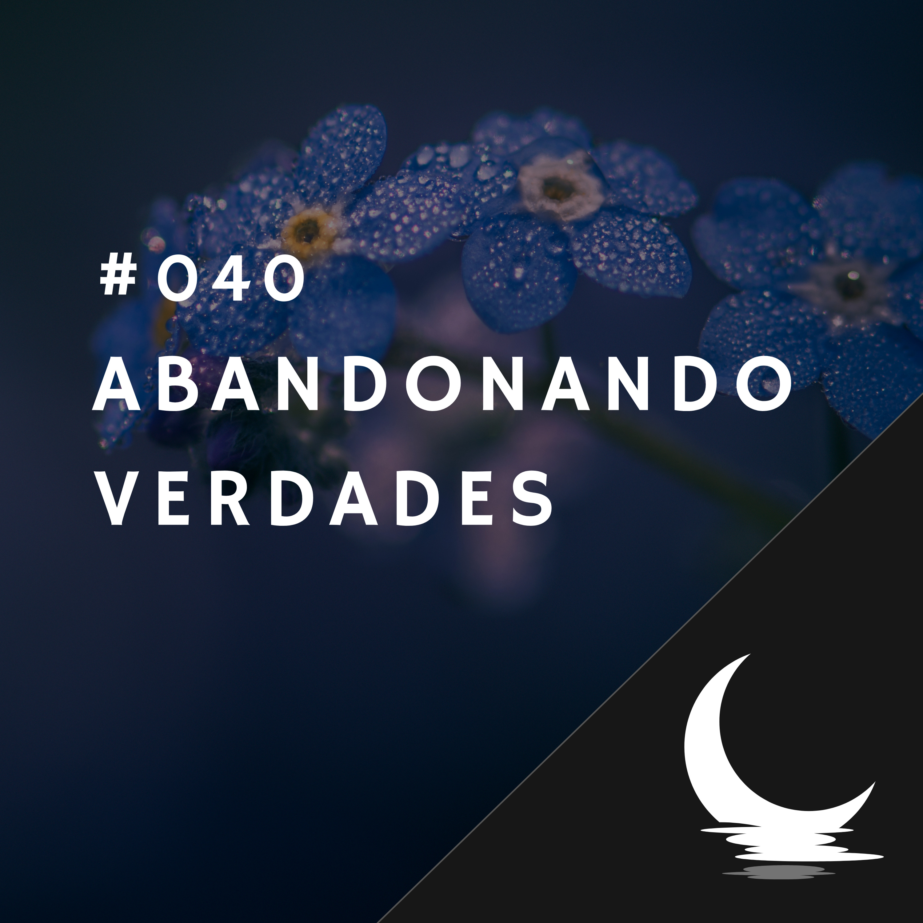 Diário de Bordo (por Júlio Augusto)