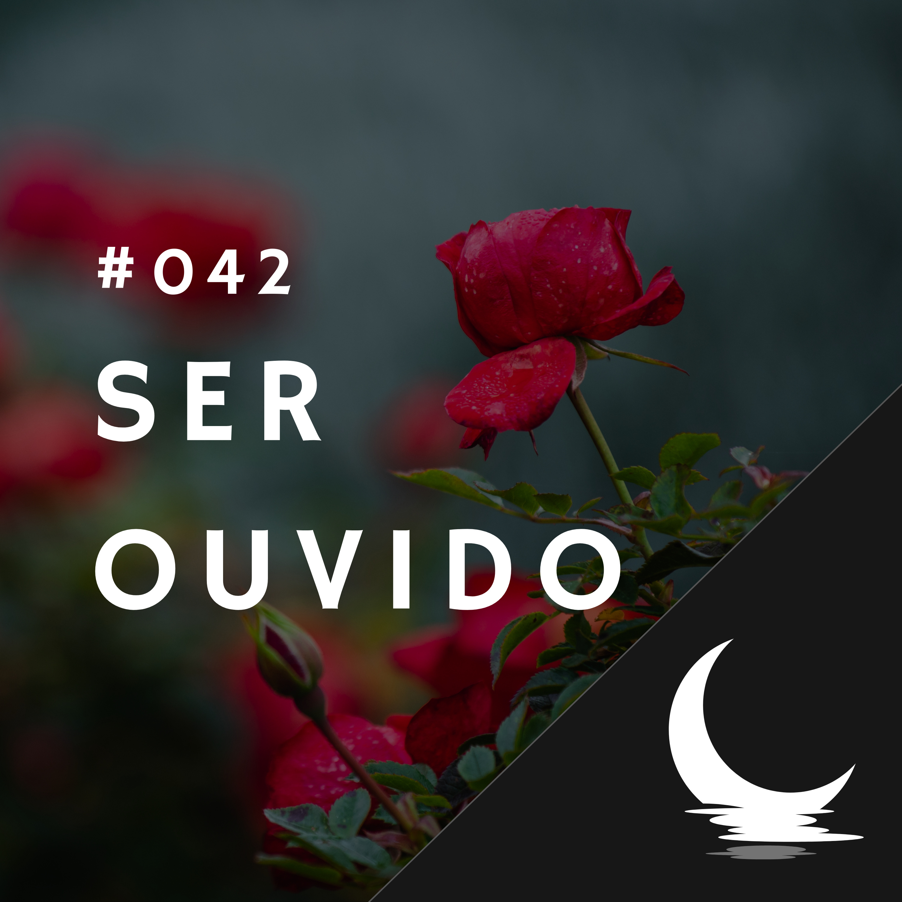 Diário de Bordo (por Júlio Augusto)