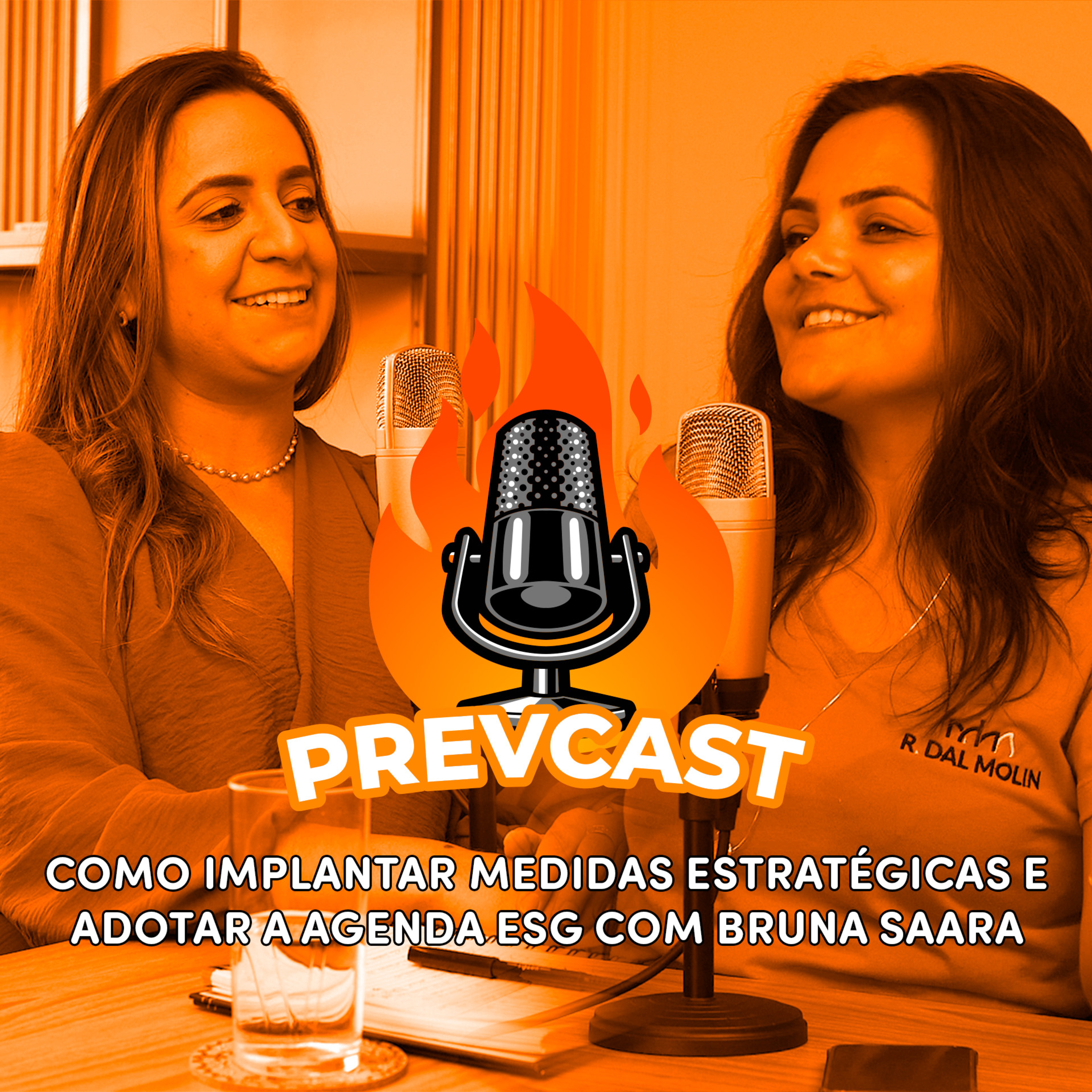 202 - COMO IMPLANTAR MEDIDAS ESTRATÉGICAS E ADOTAR A AGENDA ESG COM BRUNA SAARA episode artwork