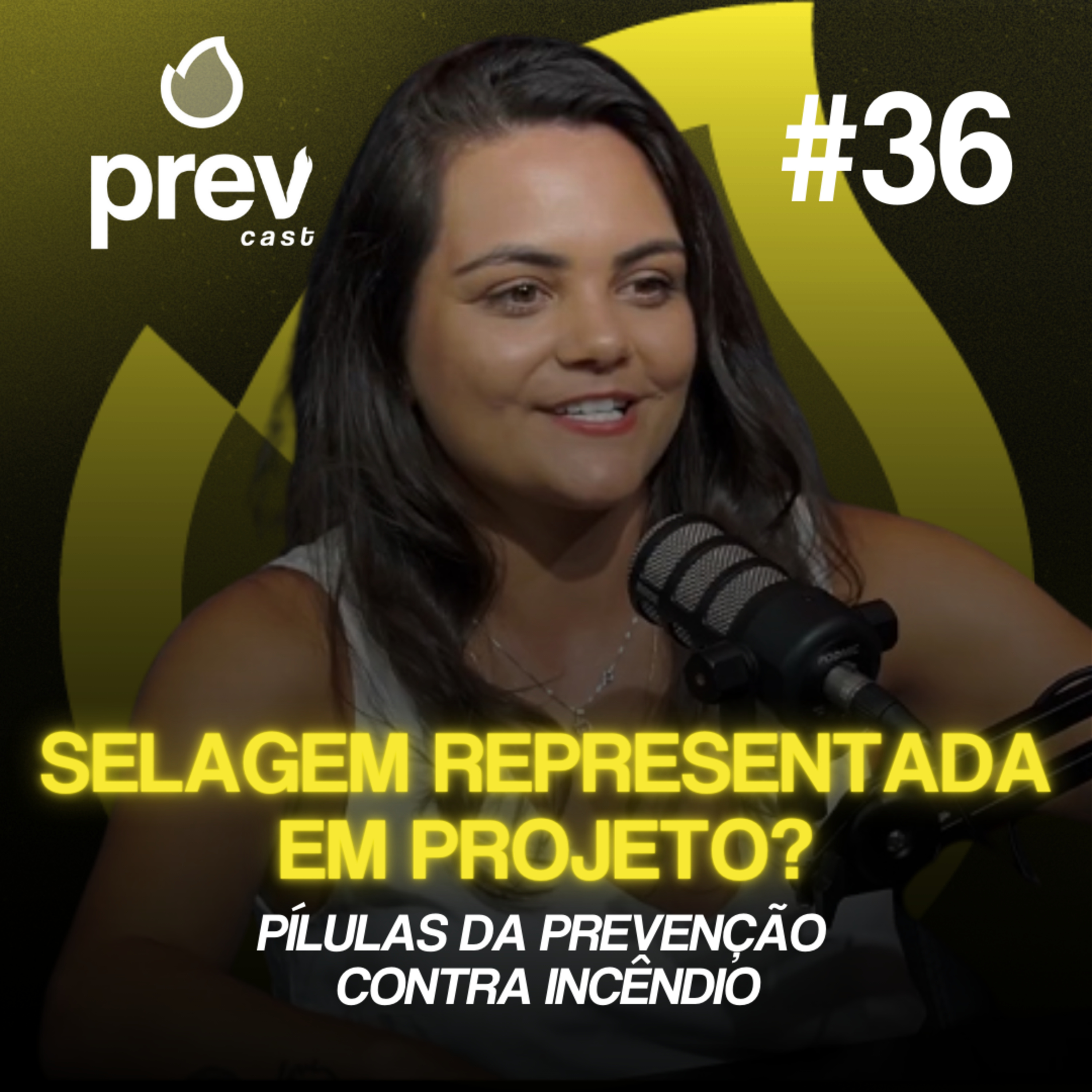 SELAGEM REPRESENTADA EM PROJETO - PÍLULAS DA PREVENÇÃO CONTRA INCÊNDIO #36 episode artwork