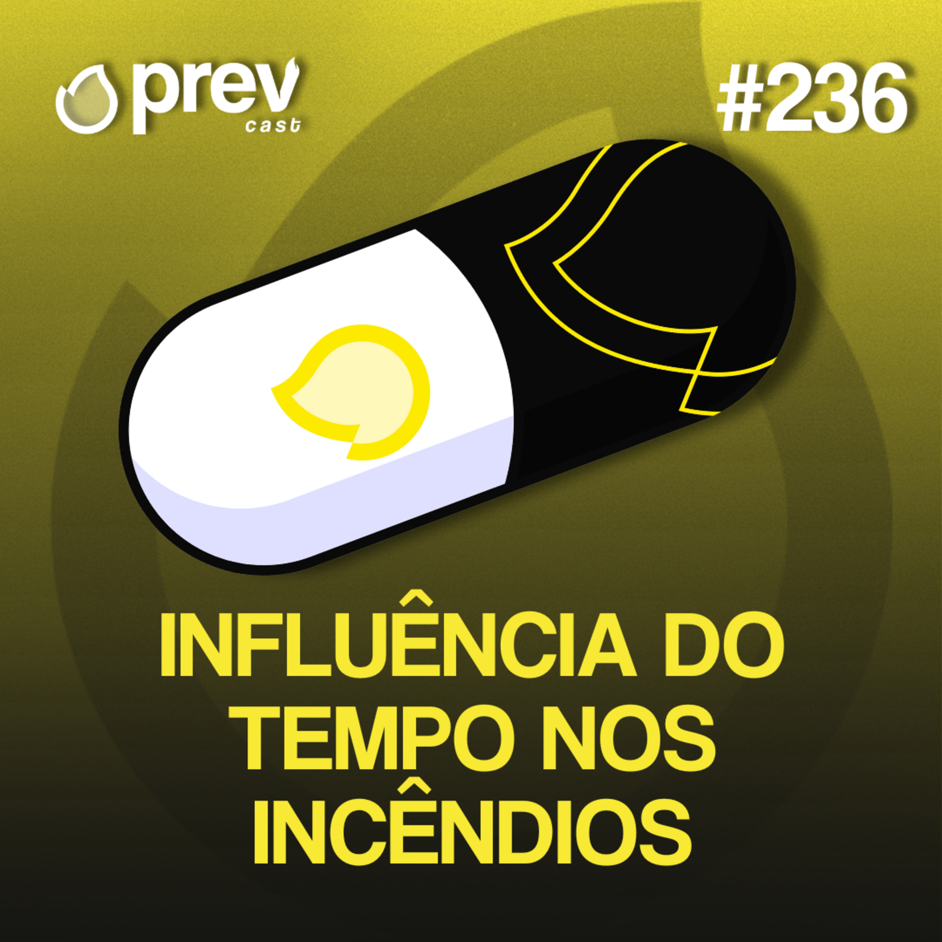 INFLUÊNCIA DO TEMPO NOS INCÊNDIOS - PÍLULAS DA PREVENÇÃO CONTRA INCÊNDIO #236