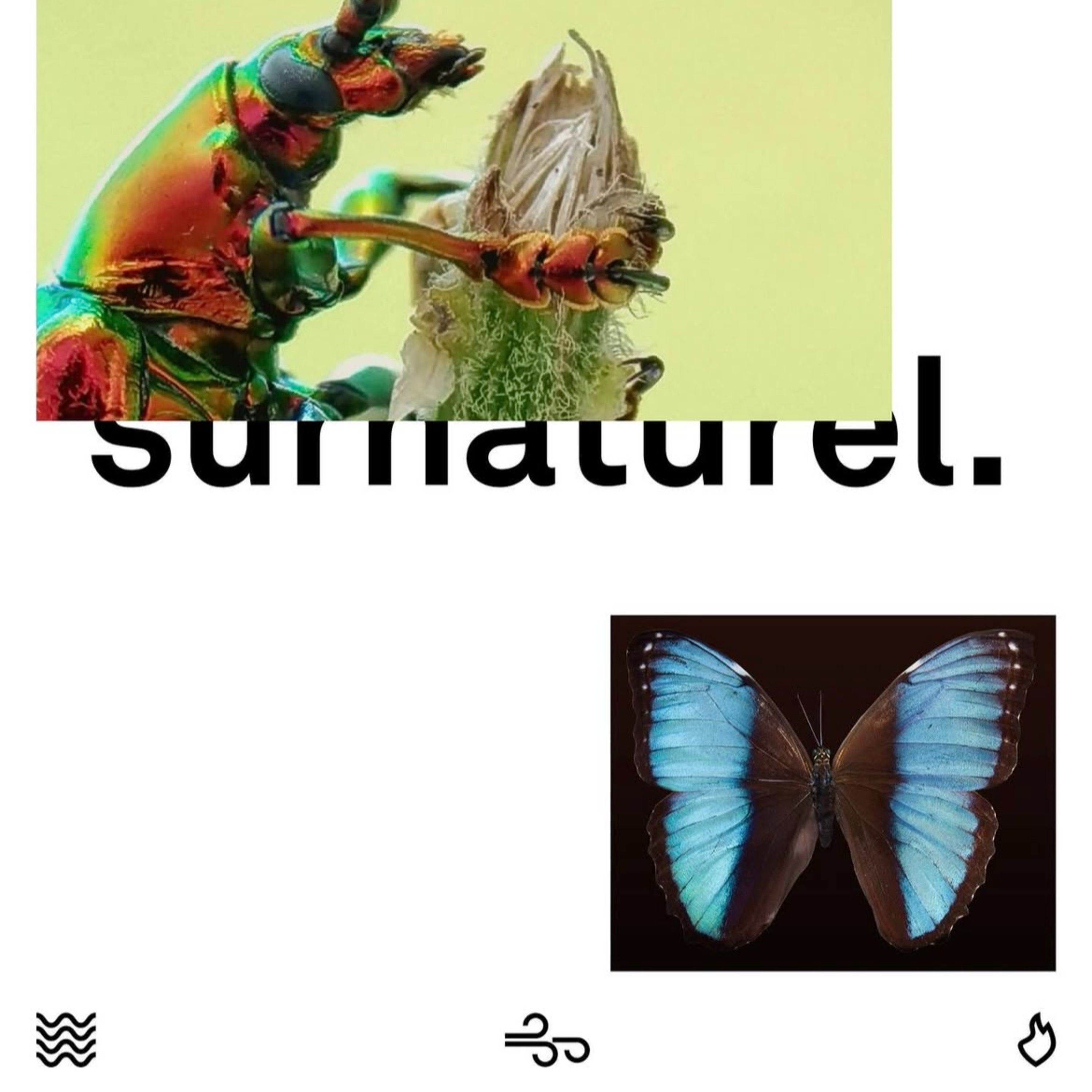 Surnaturel (3) - Bois et partage la Vie - Yves B. - 16.03.2025