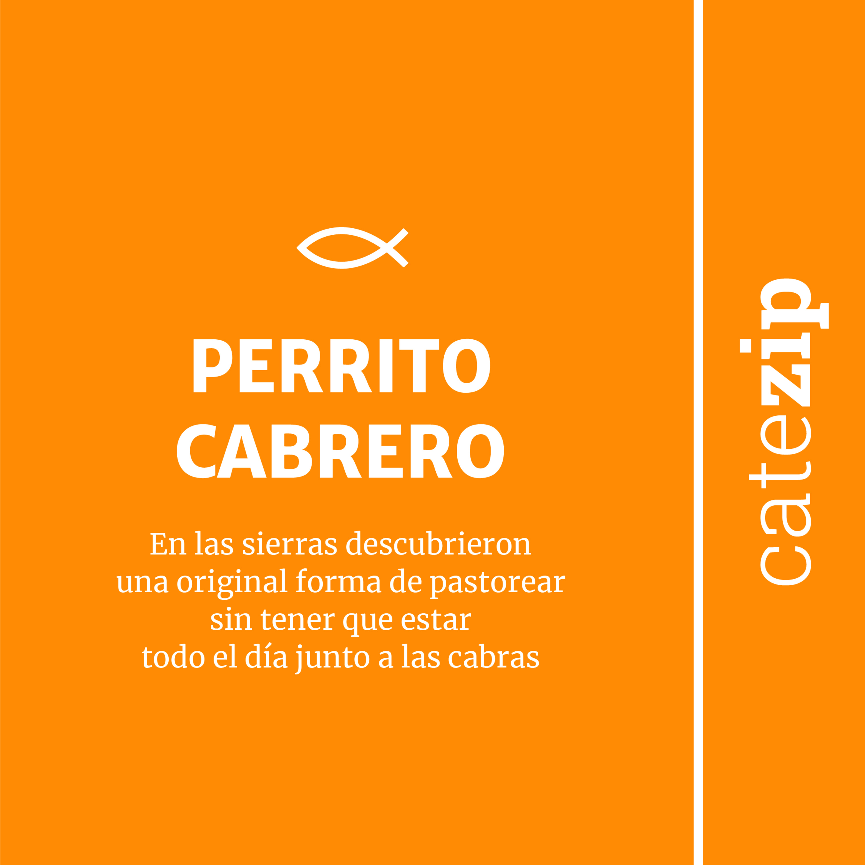 Espiritualidad - Perrito cabrero episode artwork