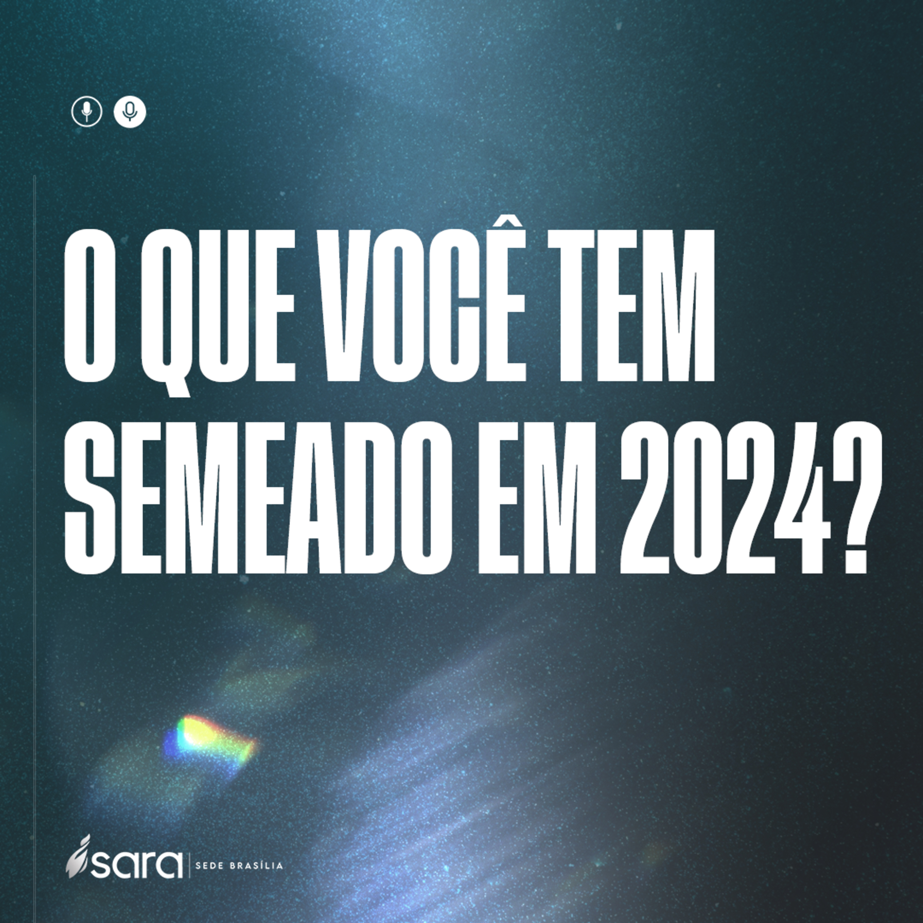 O QUE VOCÊ TEM SEMEADO EM 2024?