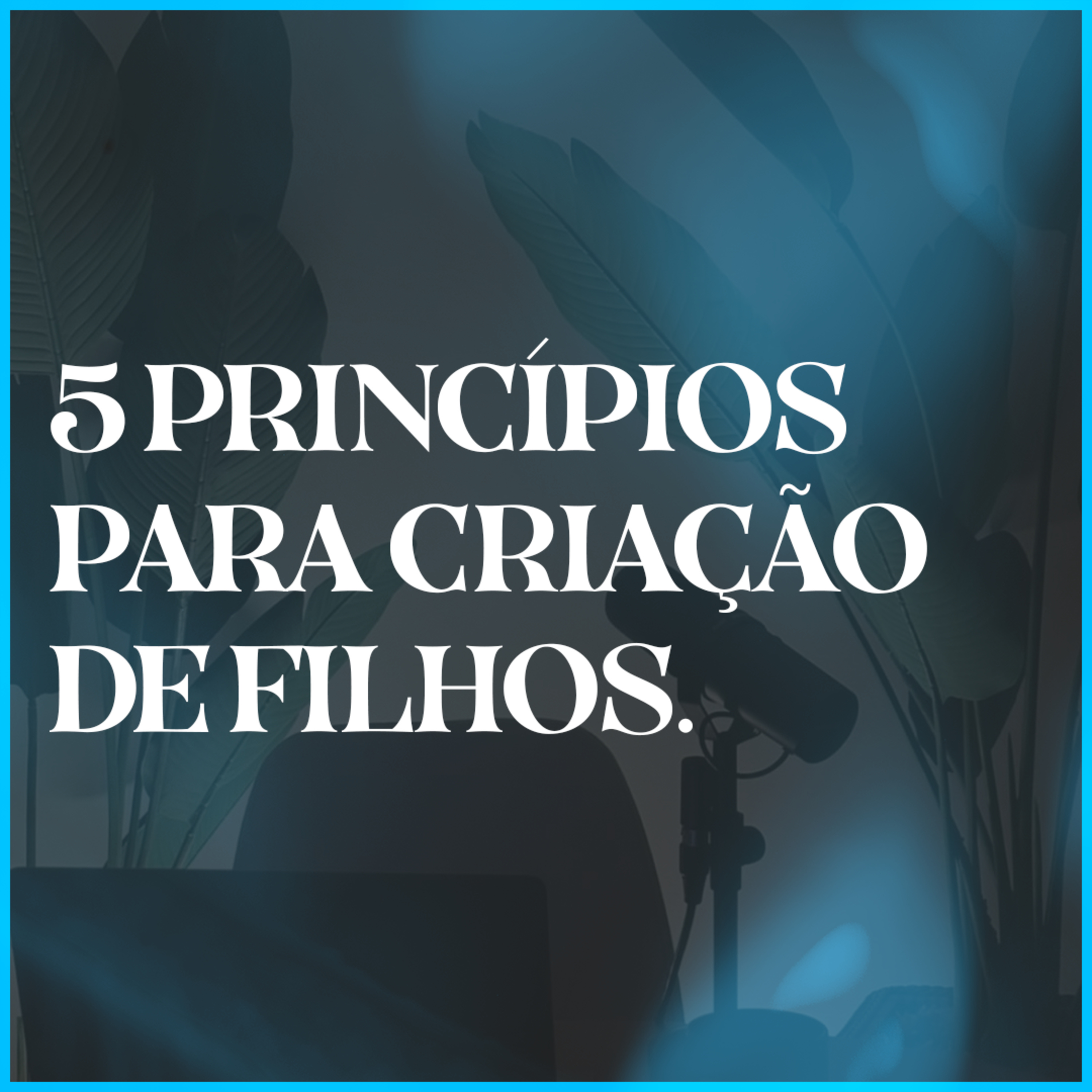 5 PRINCÍPIOS PARA CRIAÇÃO DE FILHOS episode artwork
