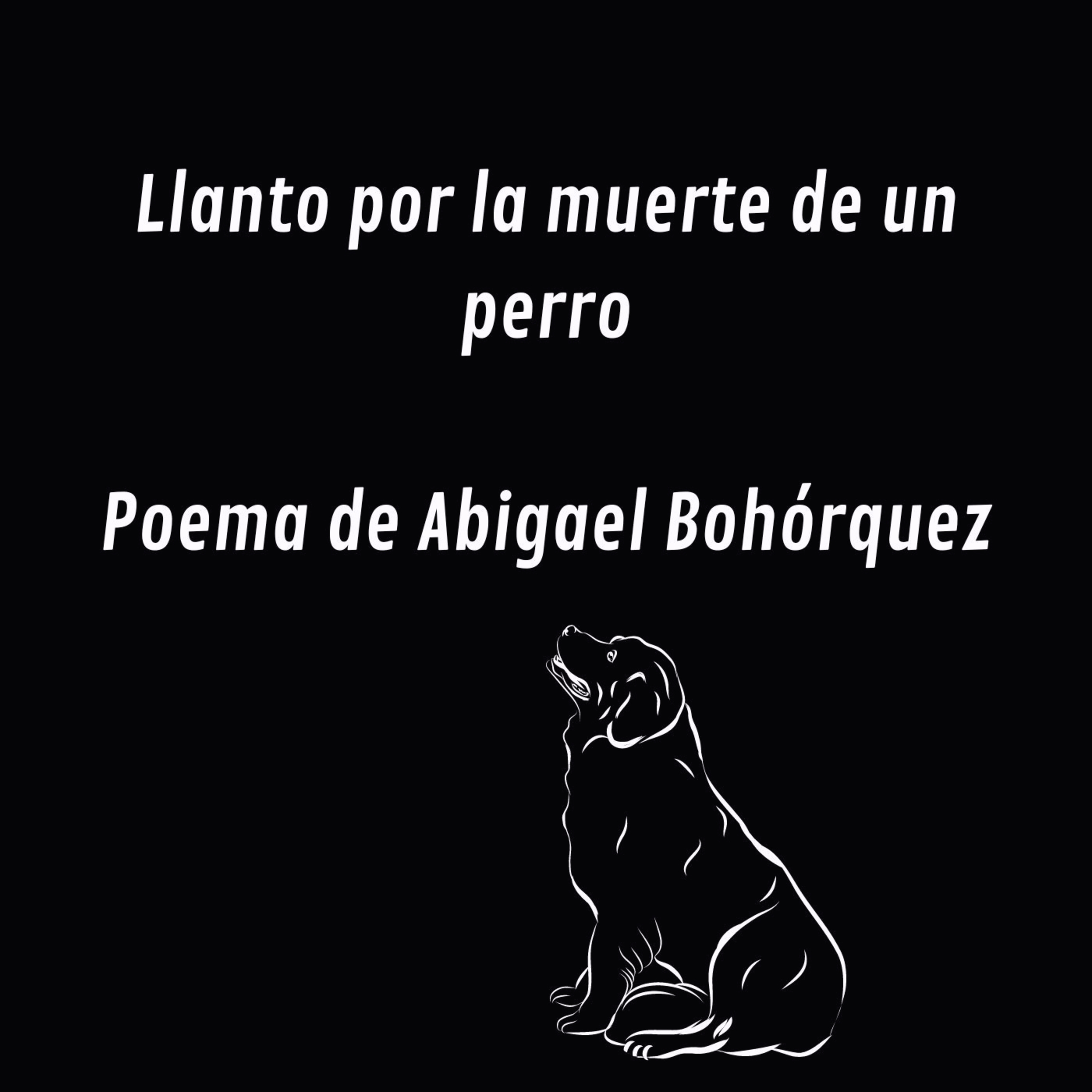 Relatos Alucinantes