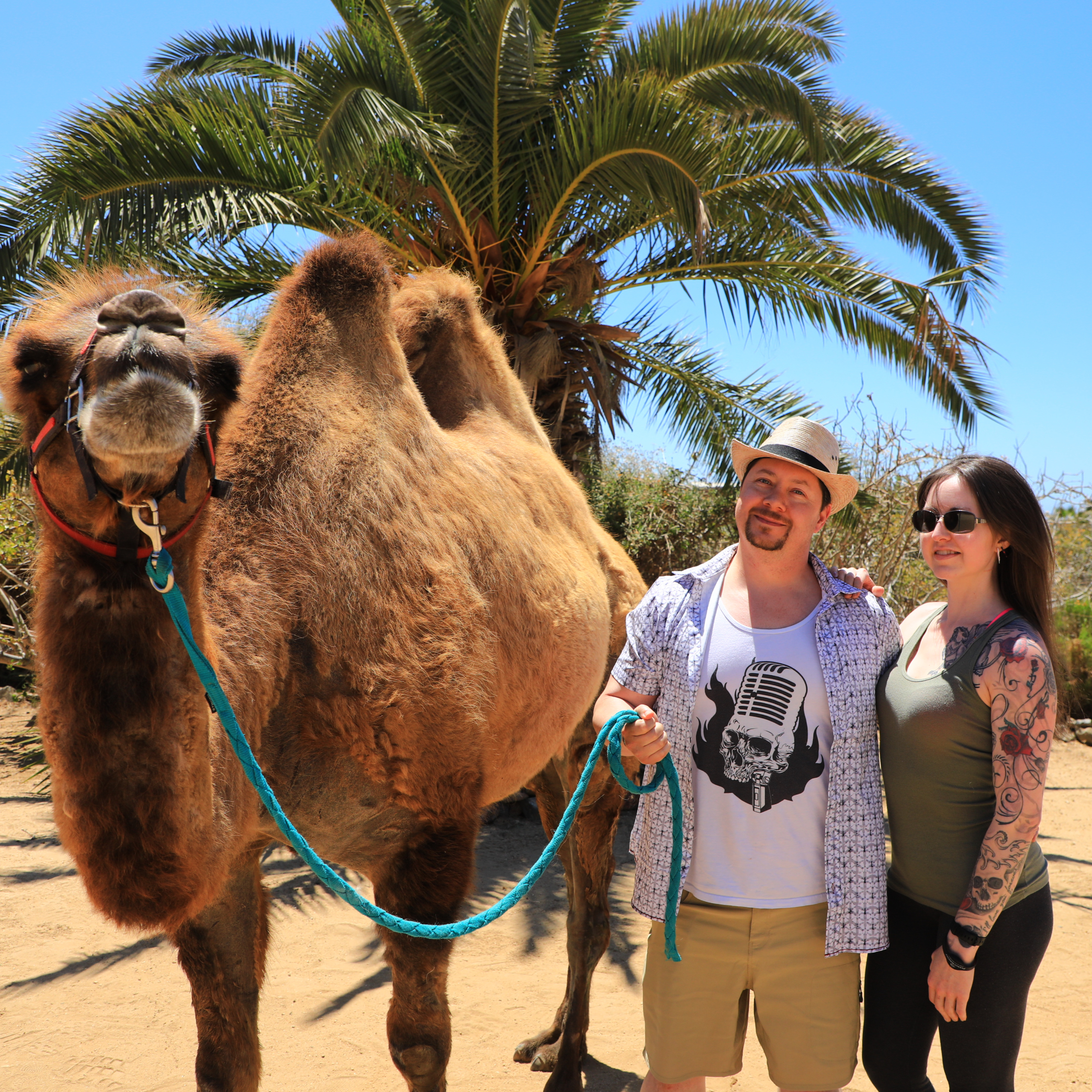 The Media Jack Podcast : Episode 30 - Cabo San Lucas Trip w/ Alicia Simpson "The Iron Bikini" episode artwork