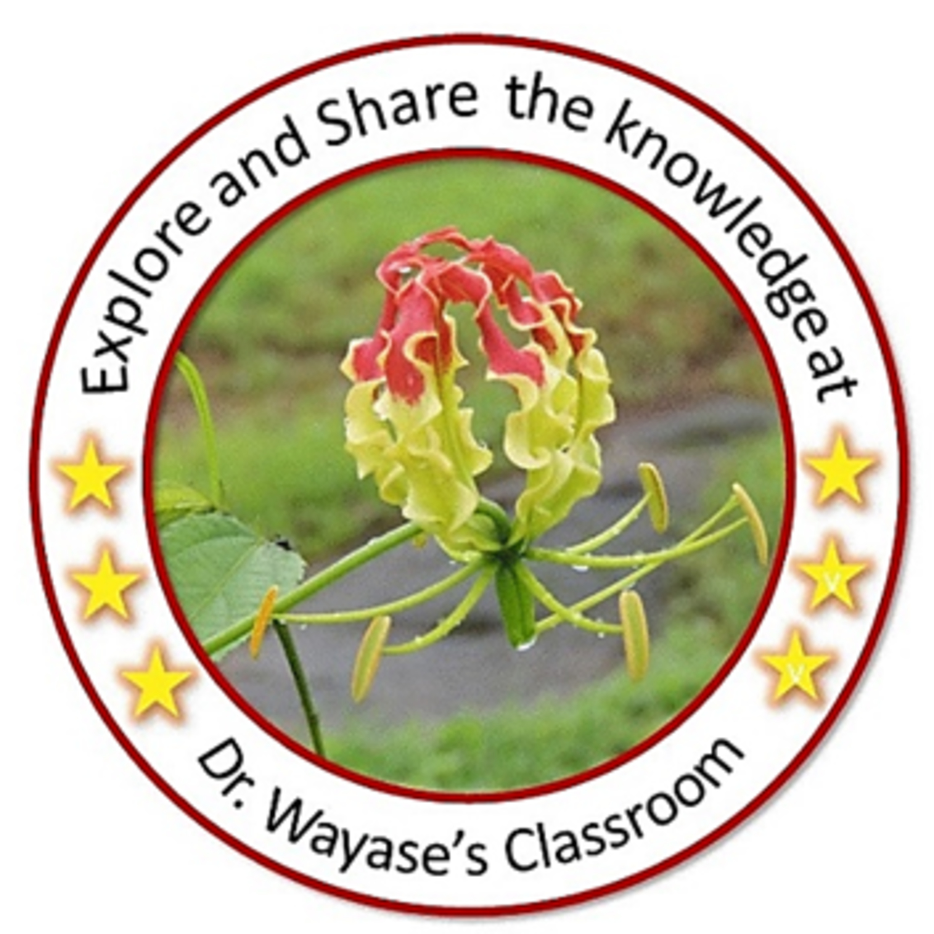 Thevetia peruviana