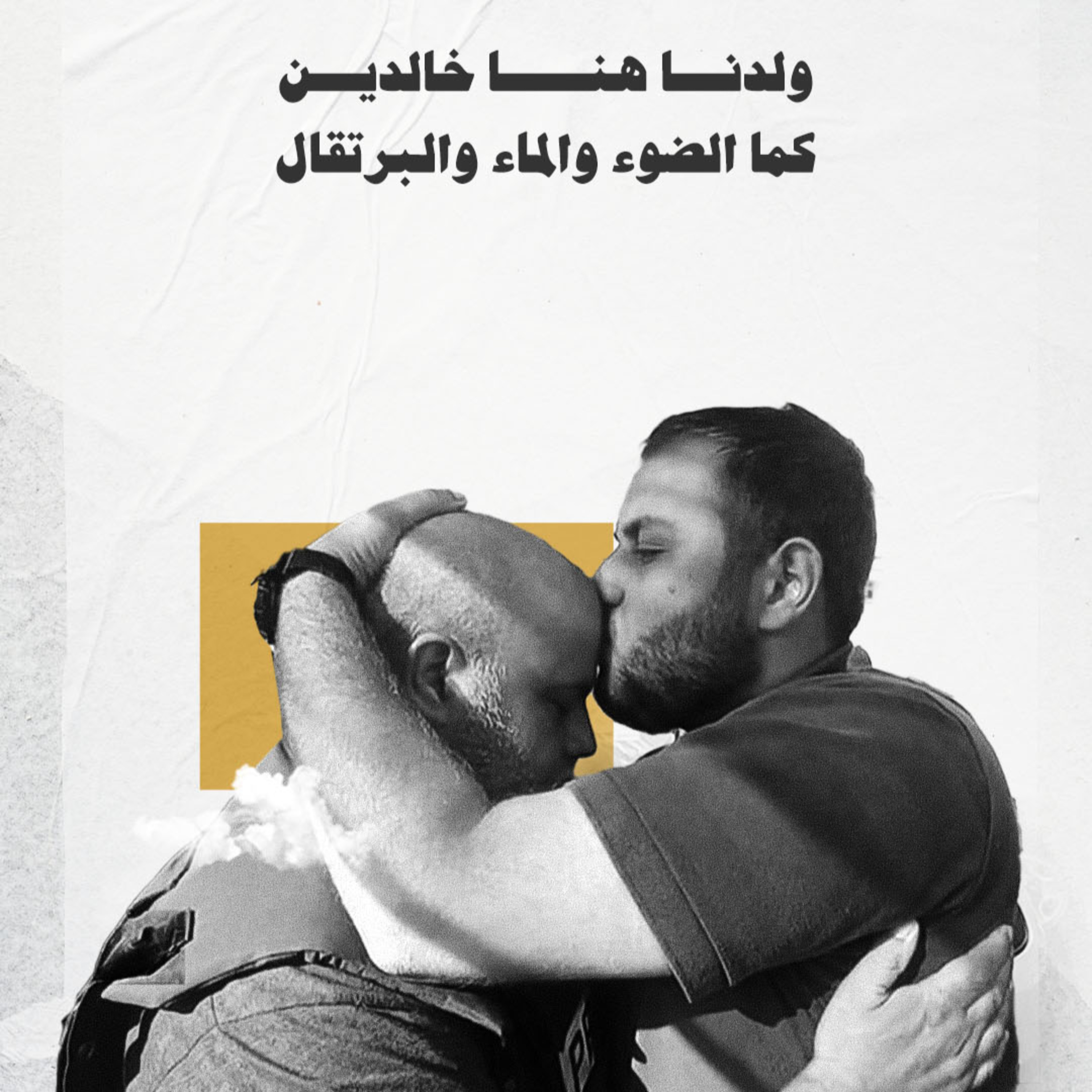 وائل الدحدوح بطل الحق - بشر شبيب - فيء من شعر episode artwork
