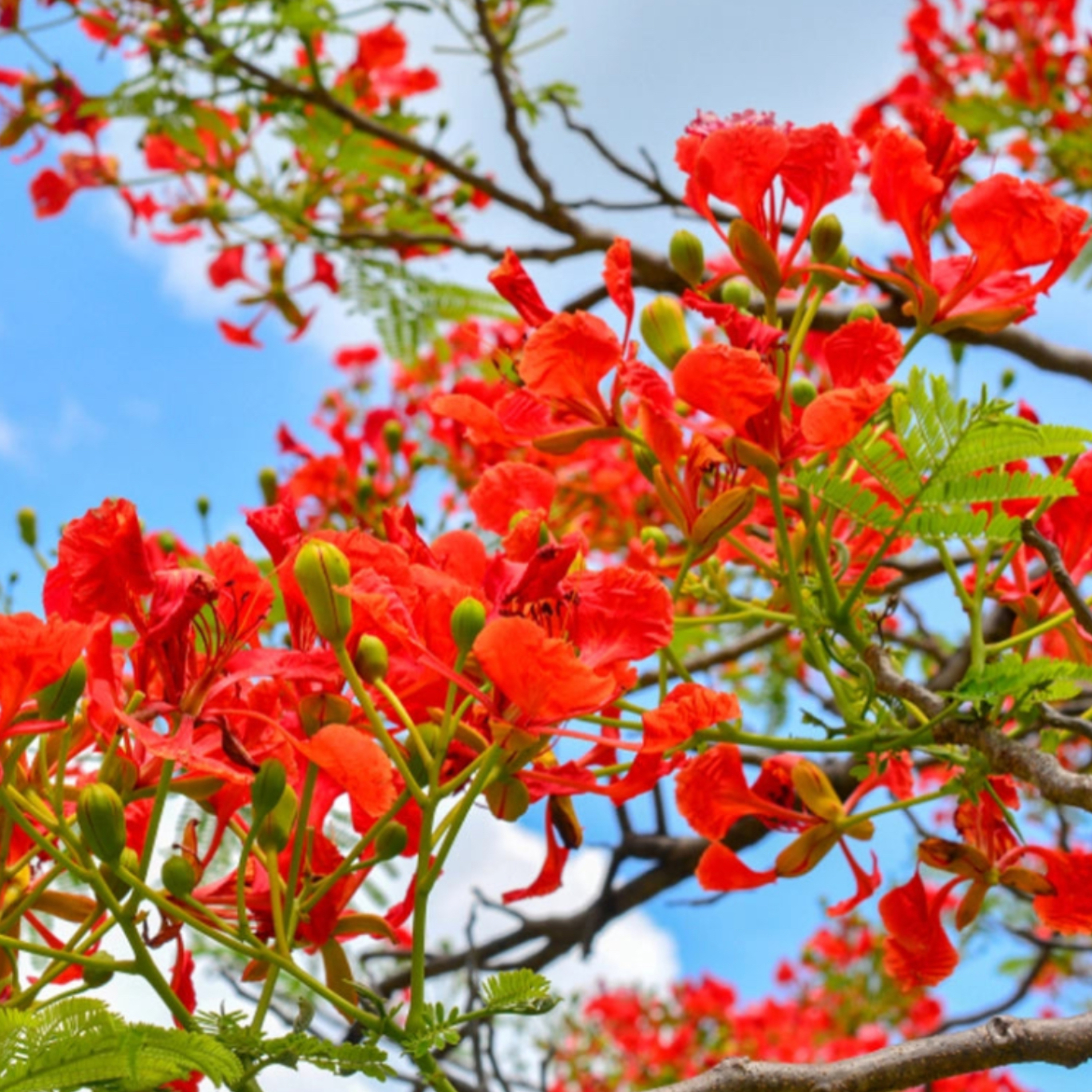 Chai stories with jyotika