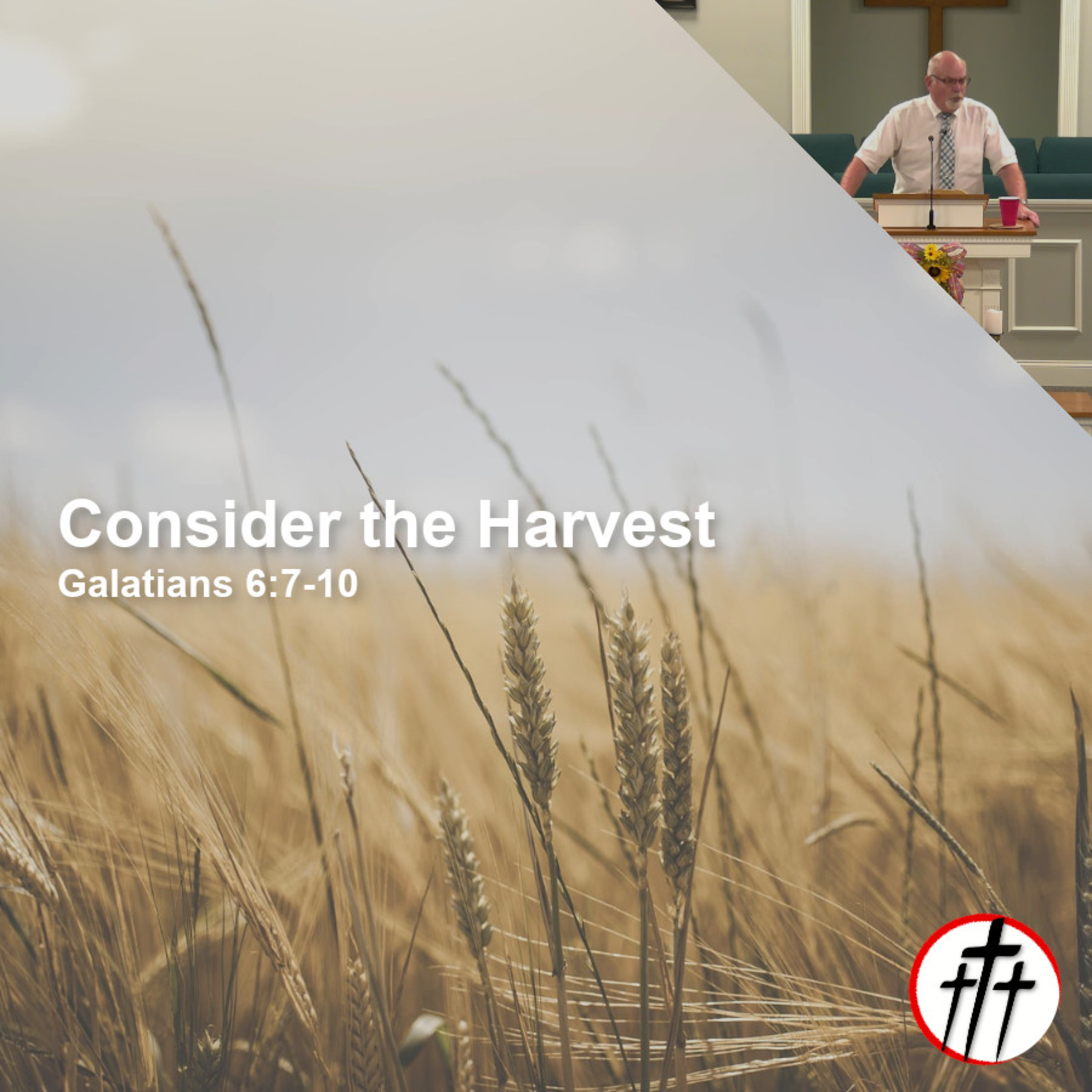 Consider the Harvest episode artwork