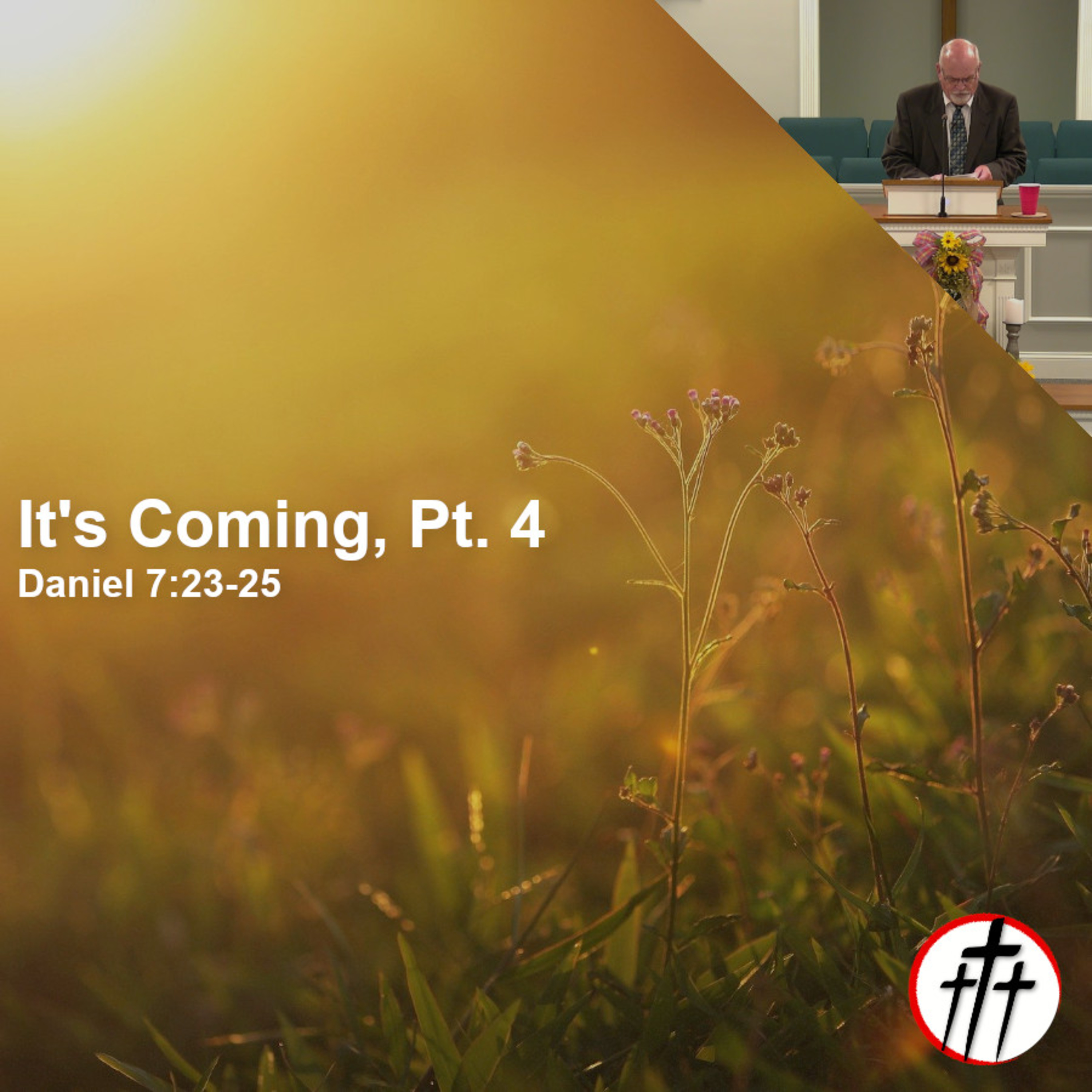 The Coming One World Government (It's Coming | Pt. 4) episode artwork