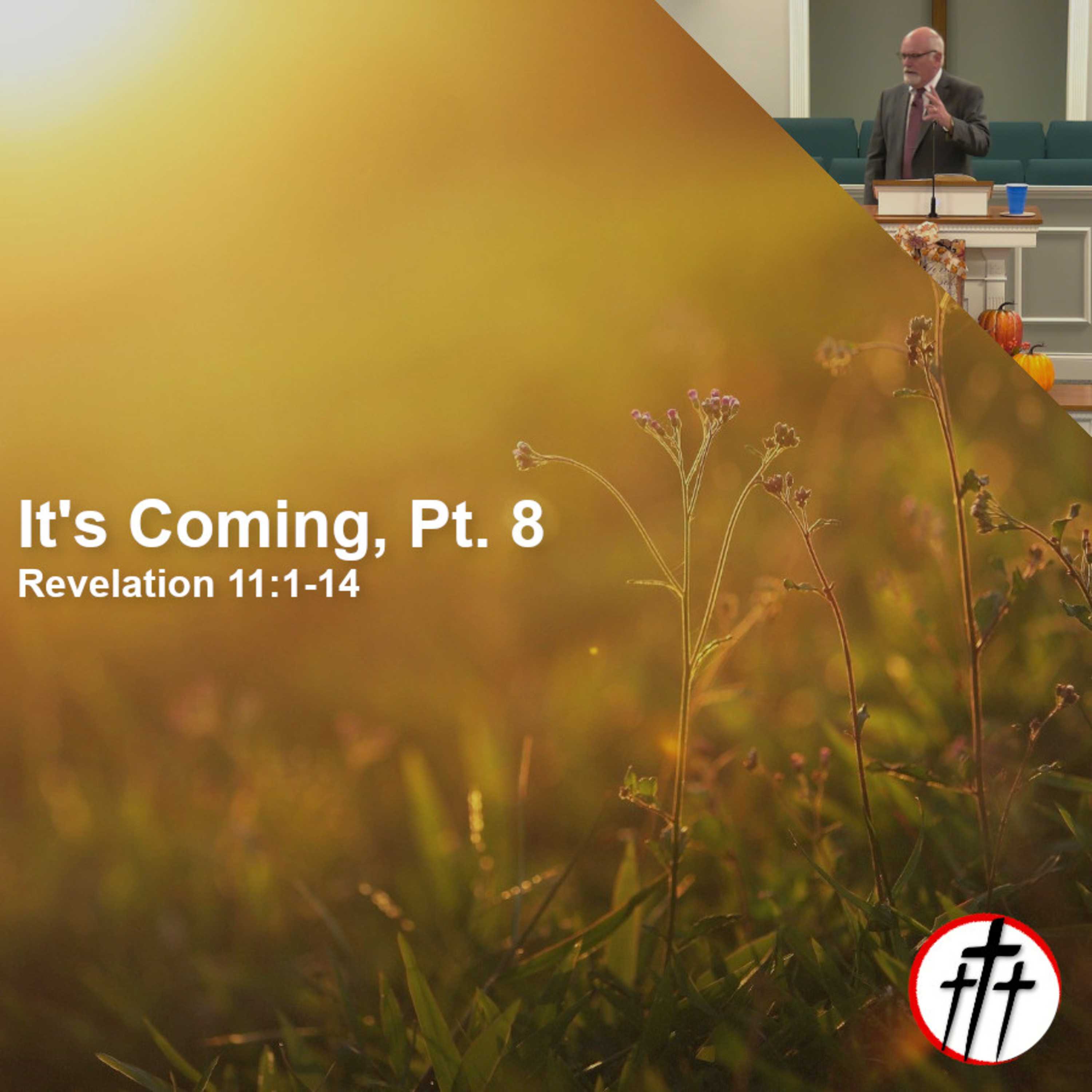 The Coming of the Two Witnesses (It's Coming | Pt. 8) episode artwork