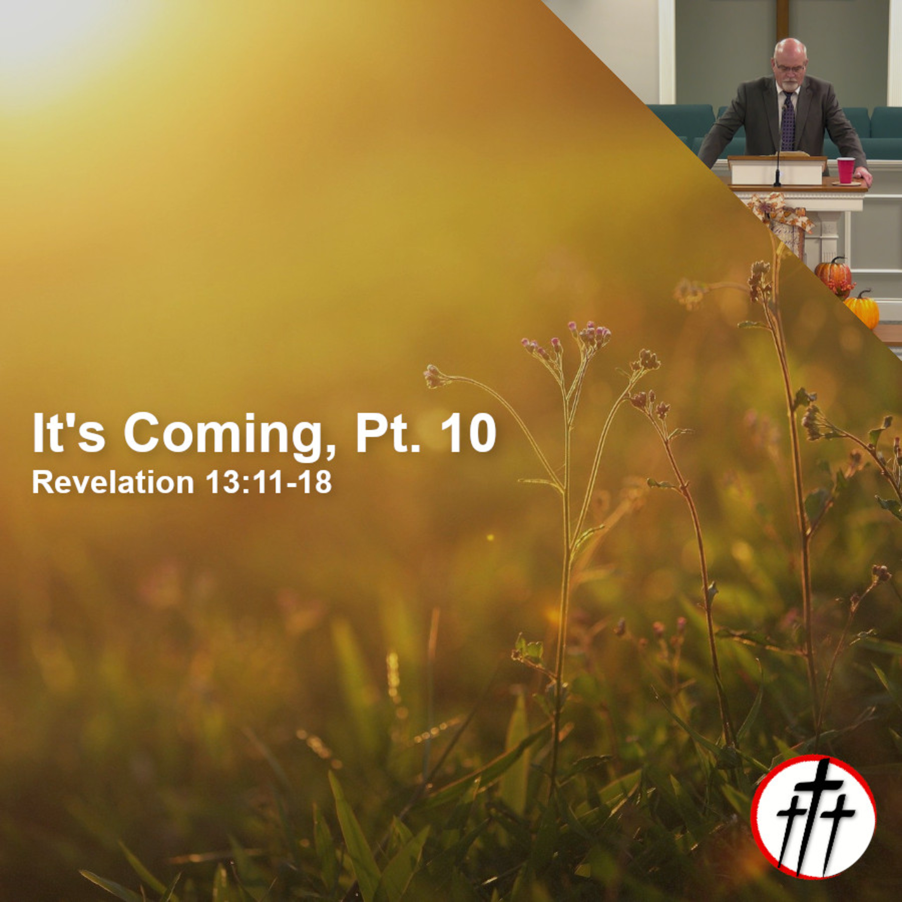 The Coming False Prophet (It's Coming | Pt. 10) episode artwork