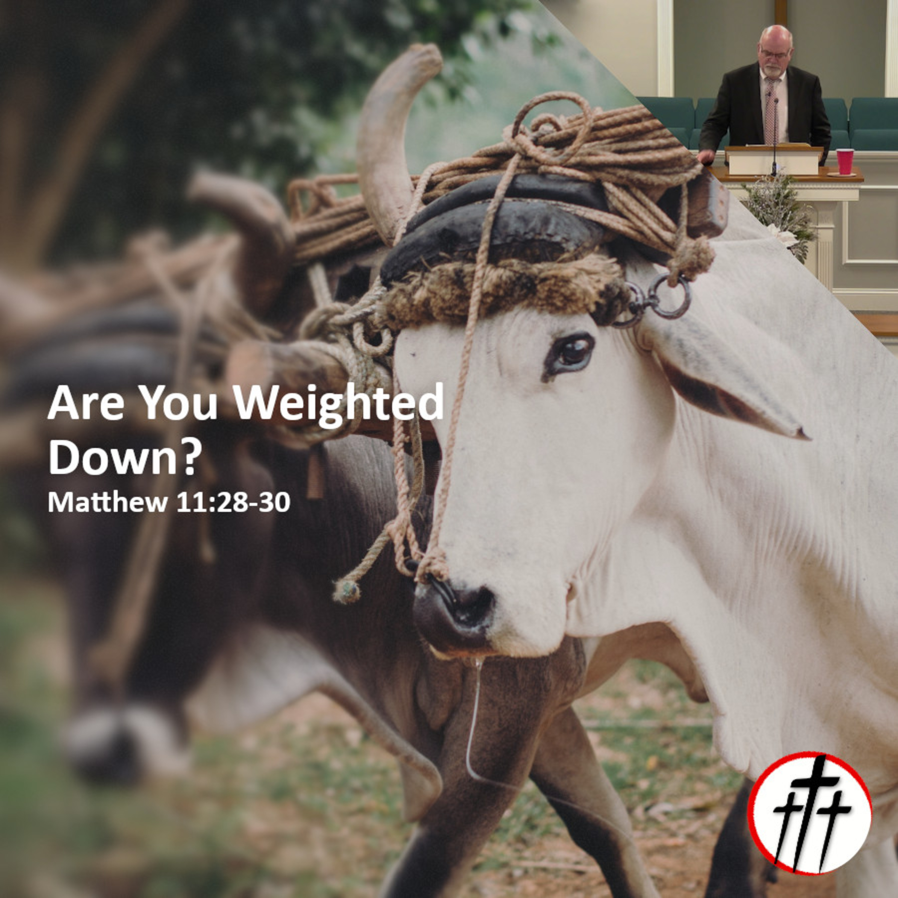 Are You Weighted Down? episode artwork