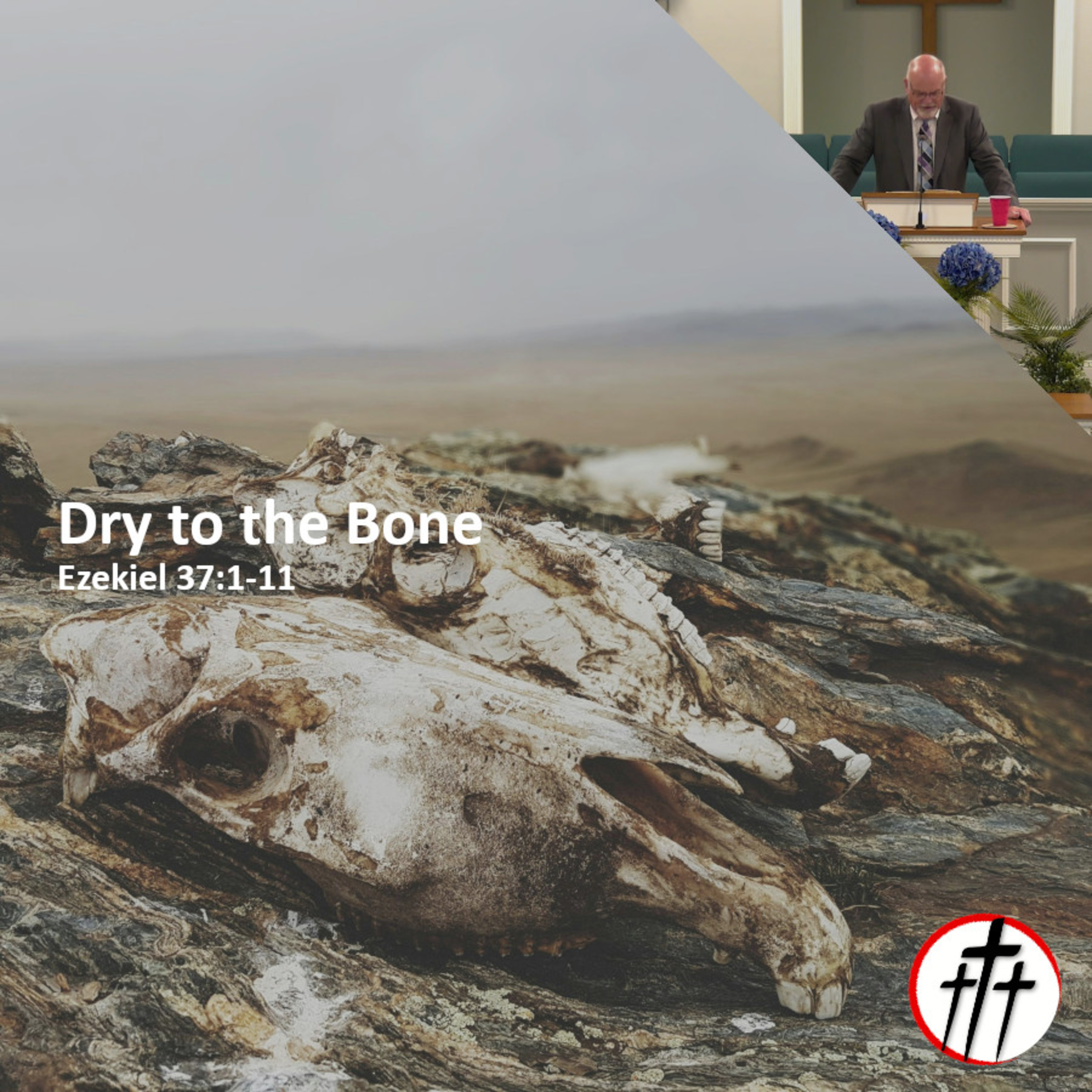 Dry to the Bone