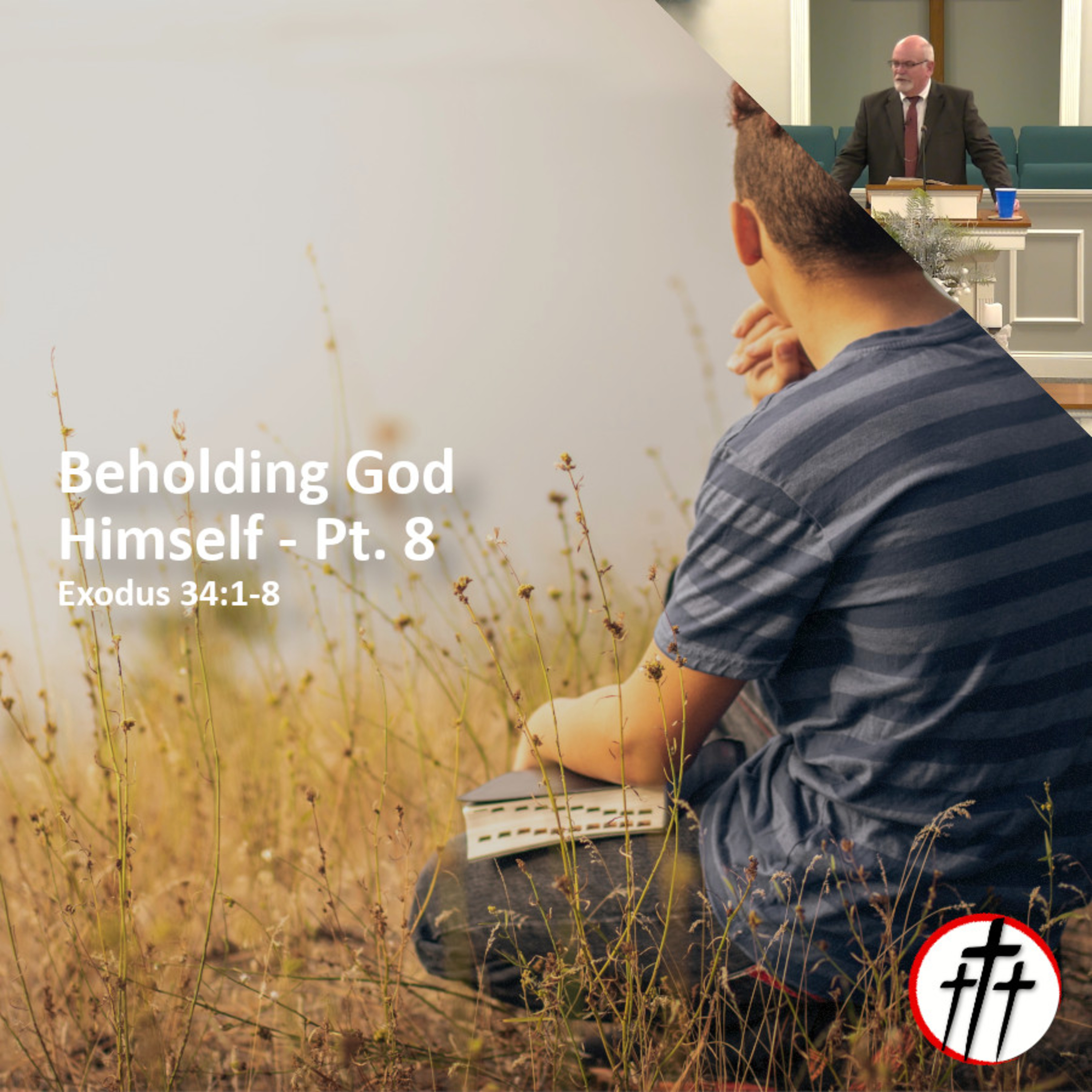 Knowing God Himself by His Goodness (Beholding God Himself - Pt. 8) episode artwork