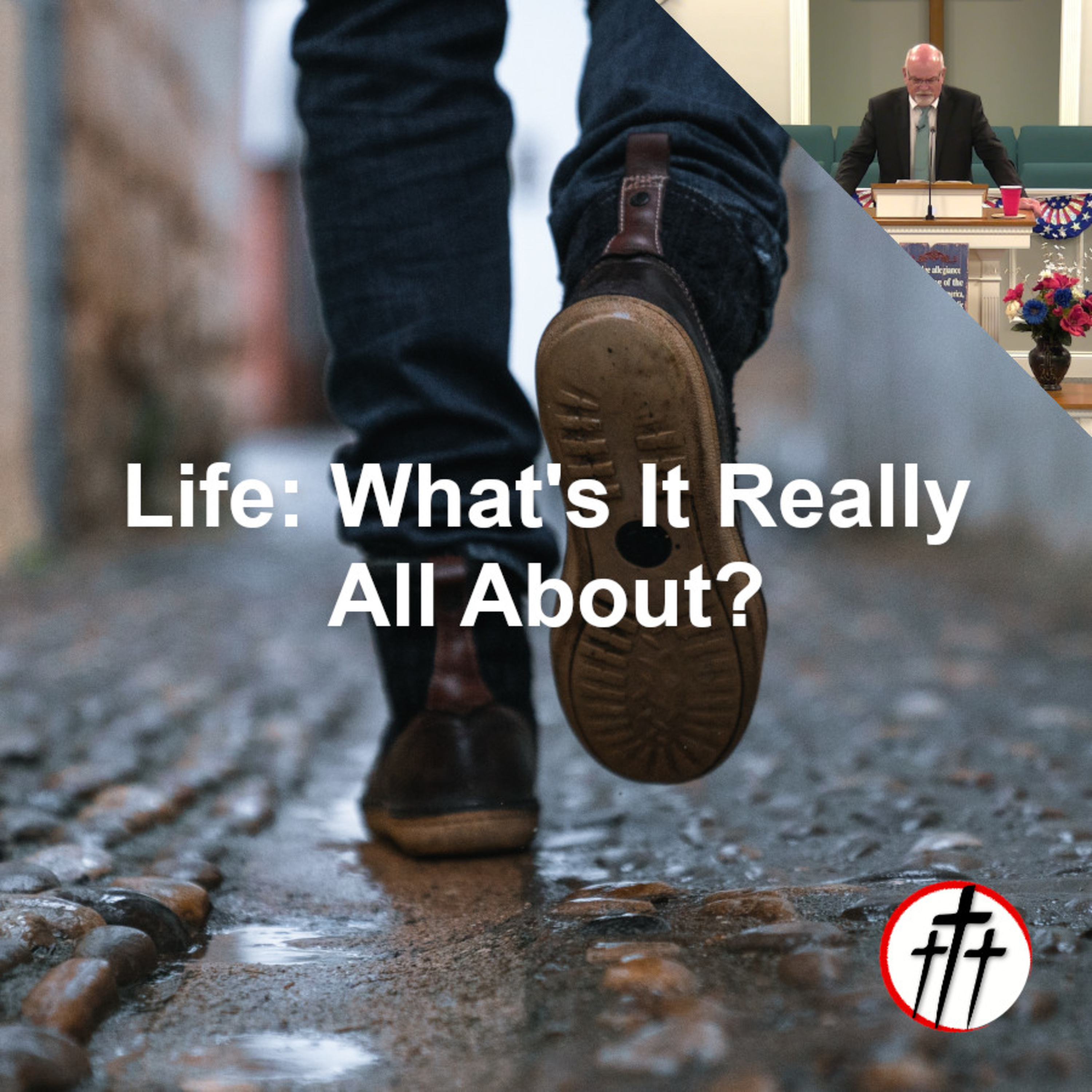 Life: What's It Really All About? episode artwork
