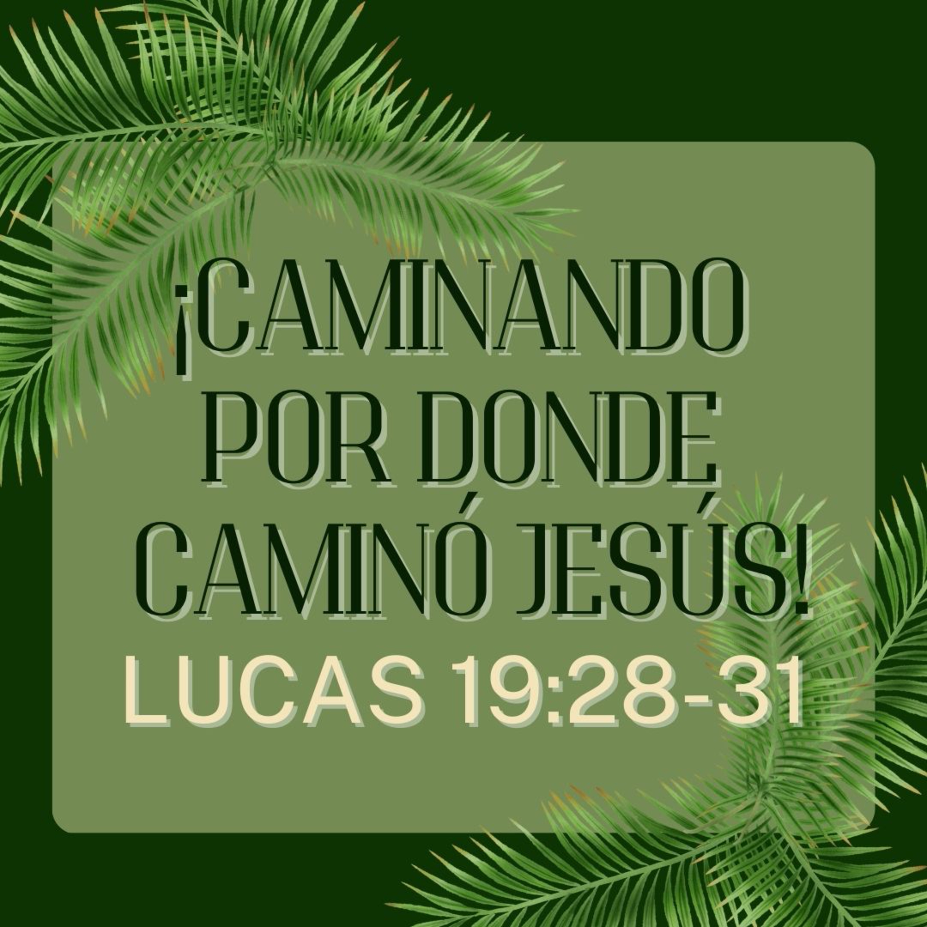 Lucas 19.28-31 – Caminando por Donde Caminó Jesús episode artwork