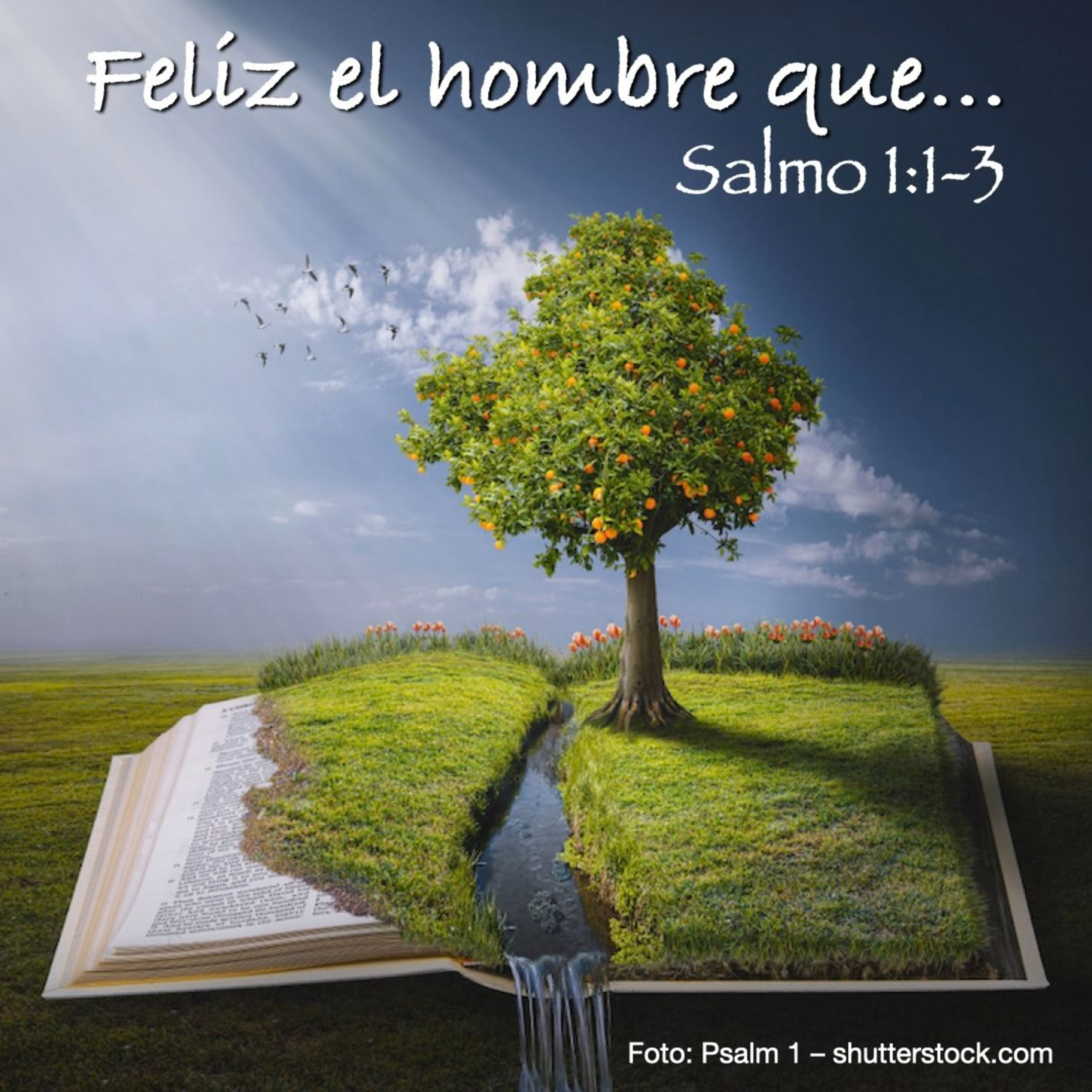 Salmo 1.1-3 – Feliz el hombre que...  episode artwork