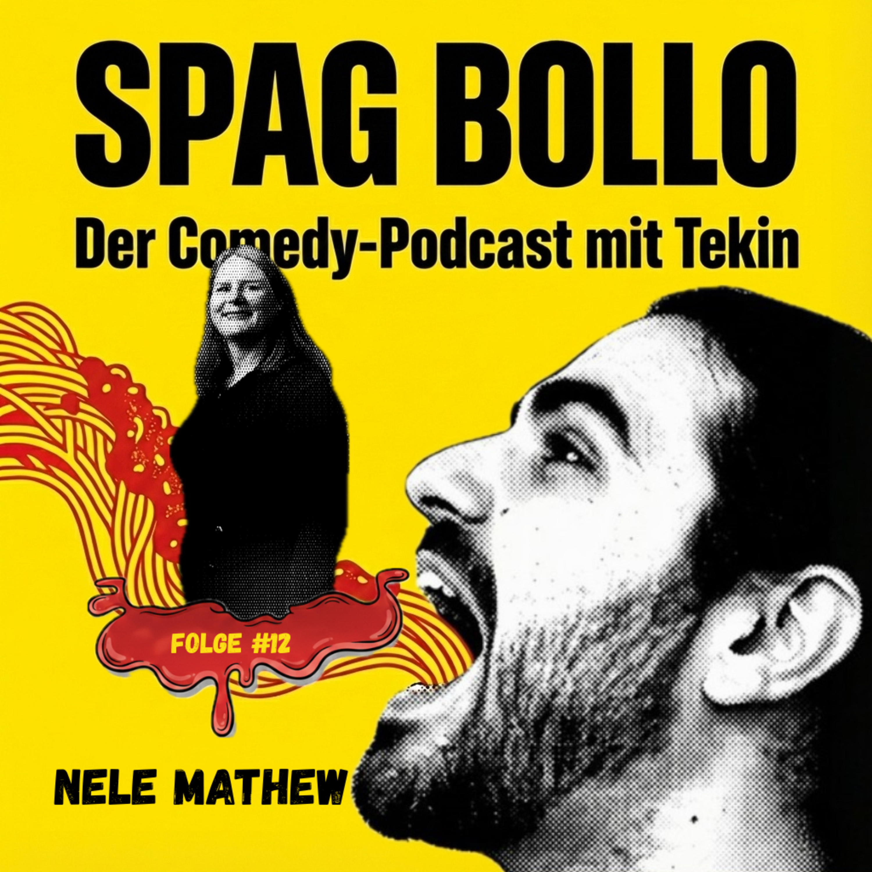 #12 Nele Mathew: Drei Versuche, ein Mikrofon & Das Schicksal der vergessenen Aufnahmen episode artwork