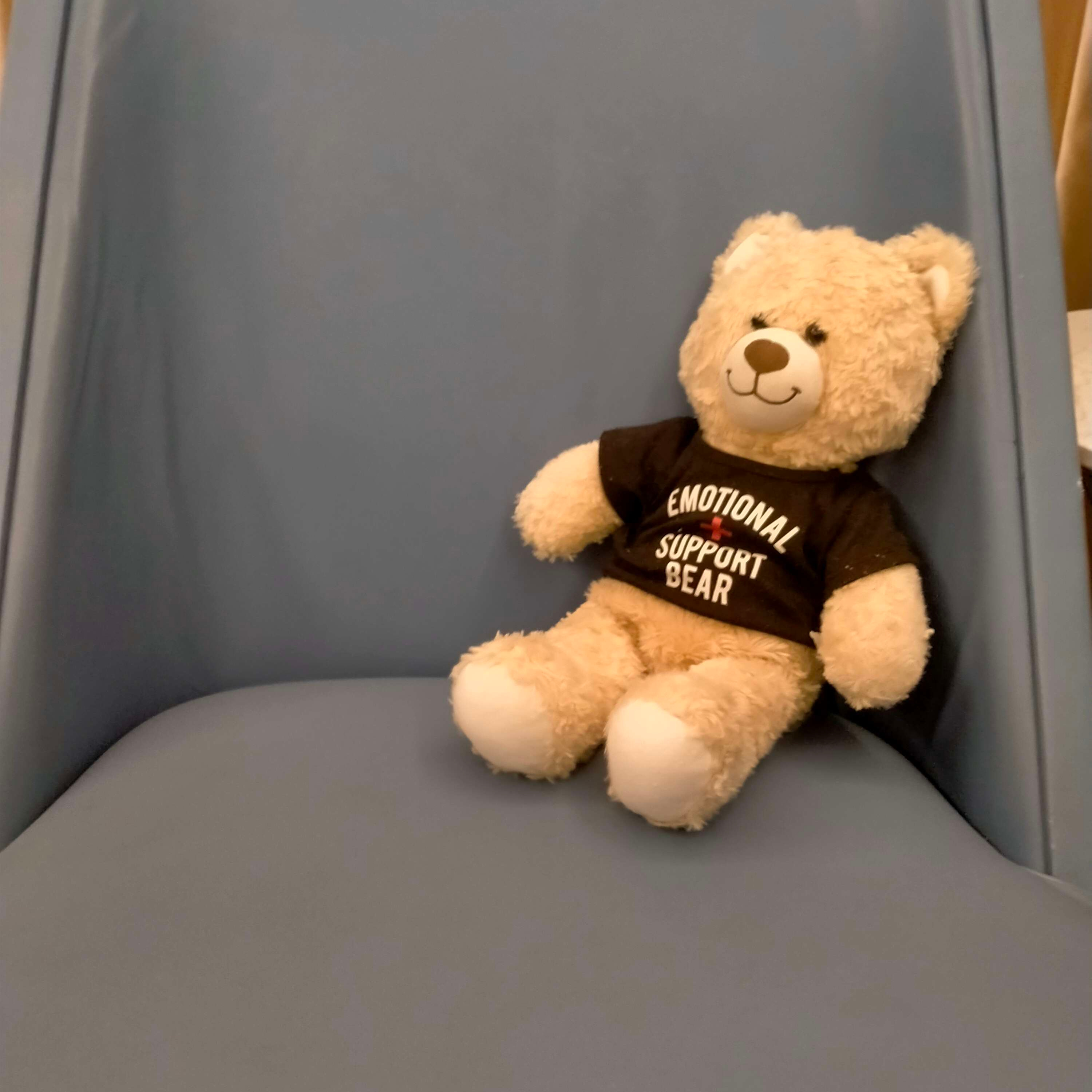 The Adventures of Jaye Bear part 6