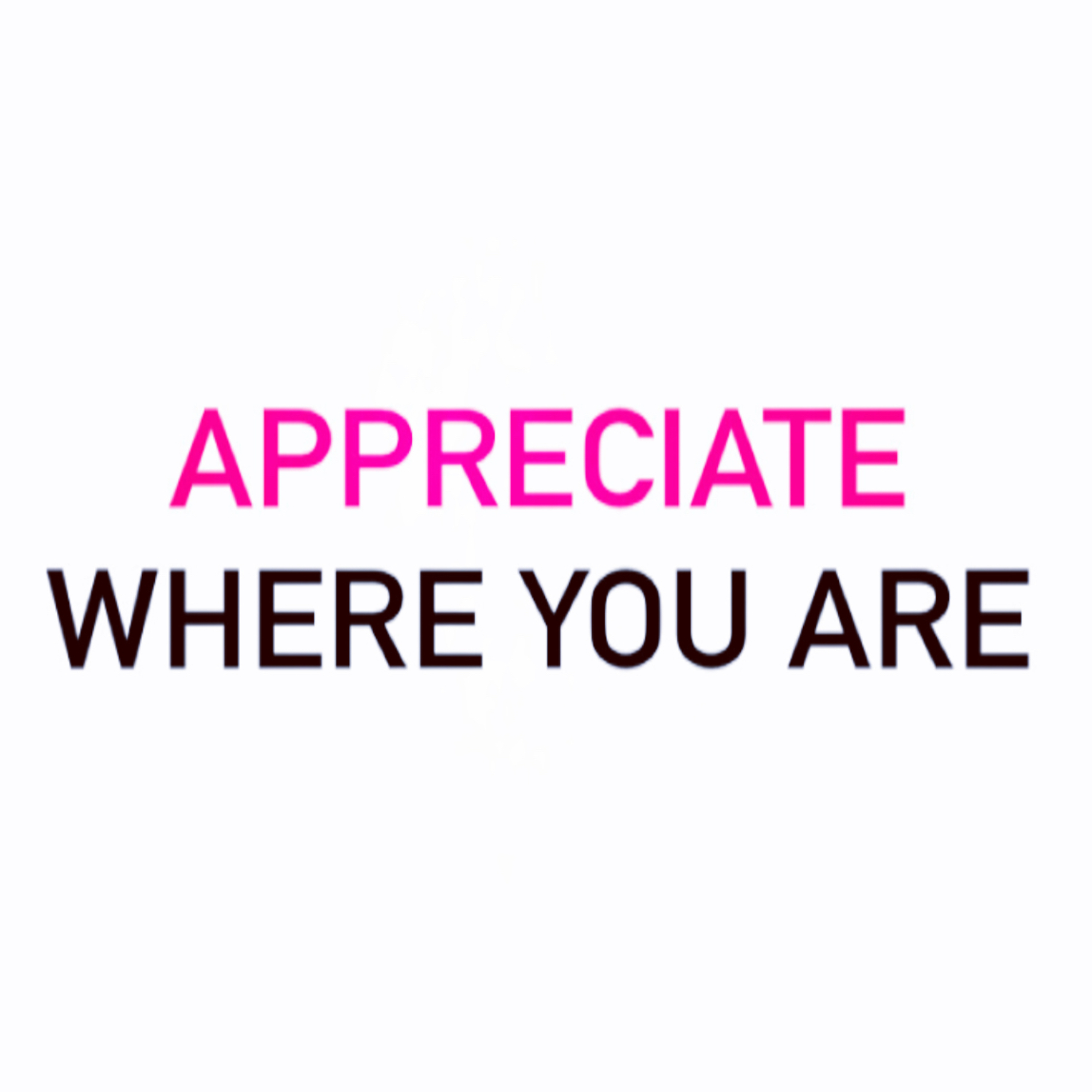 Appreciate Where You Are