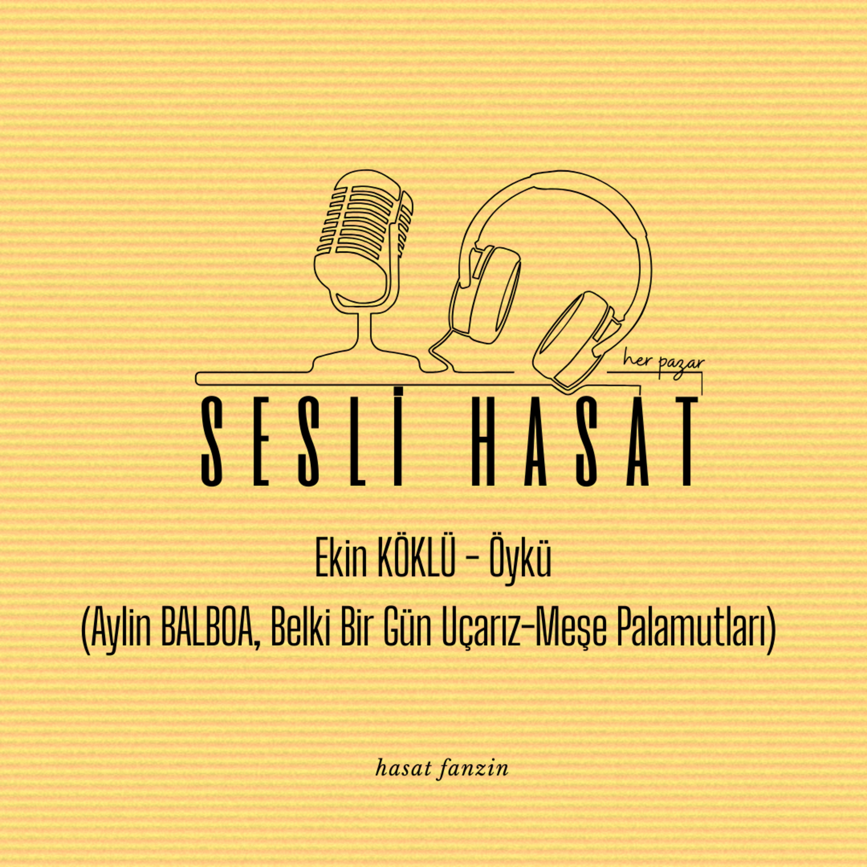 SESLİ HASAT - 01 - Ekin KÖKLÜ - (Aylin BALBOA, Belki Bir Gün Uçarız - Meşe Palamutları) episode artwork