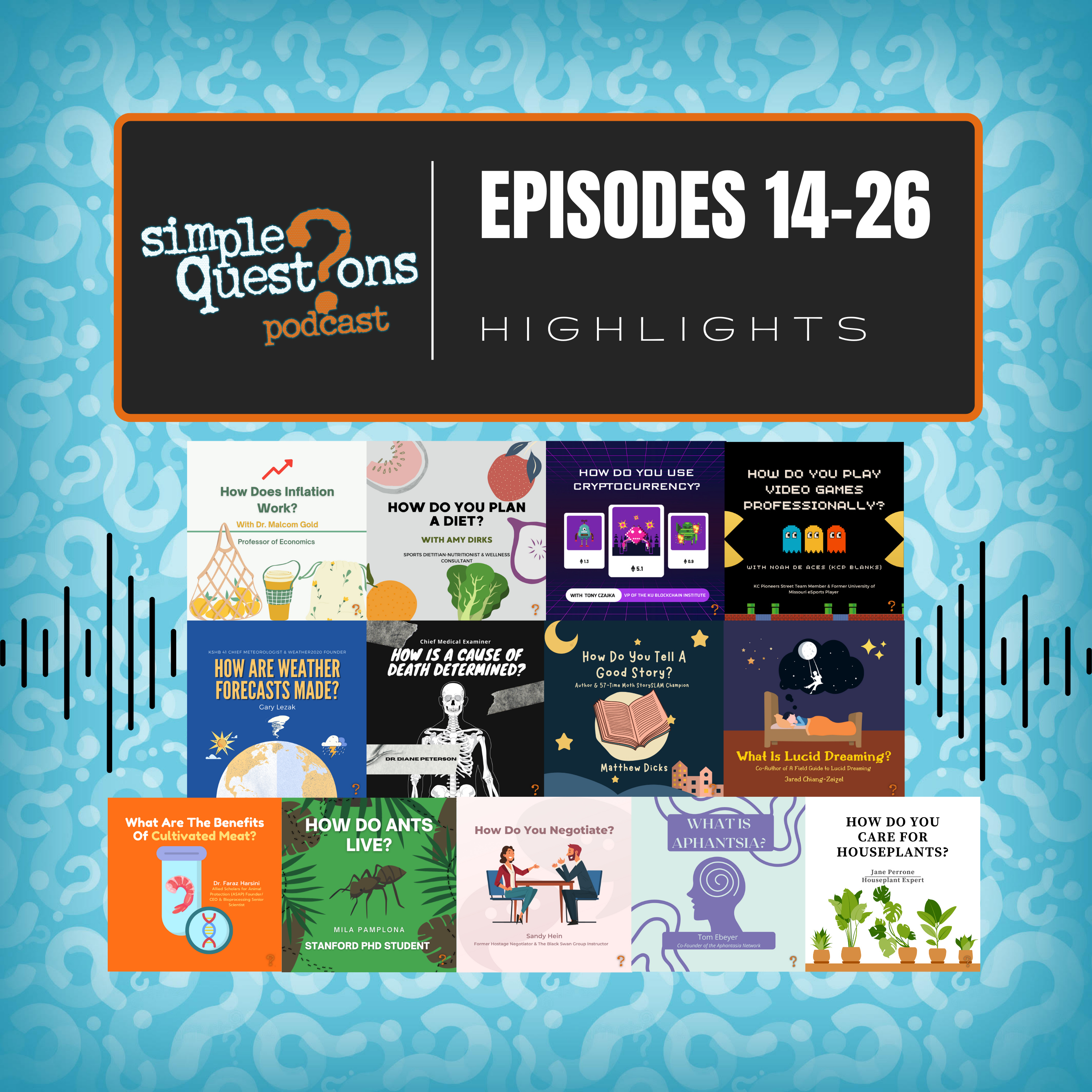 Simple Questions Podcast