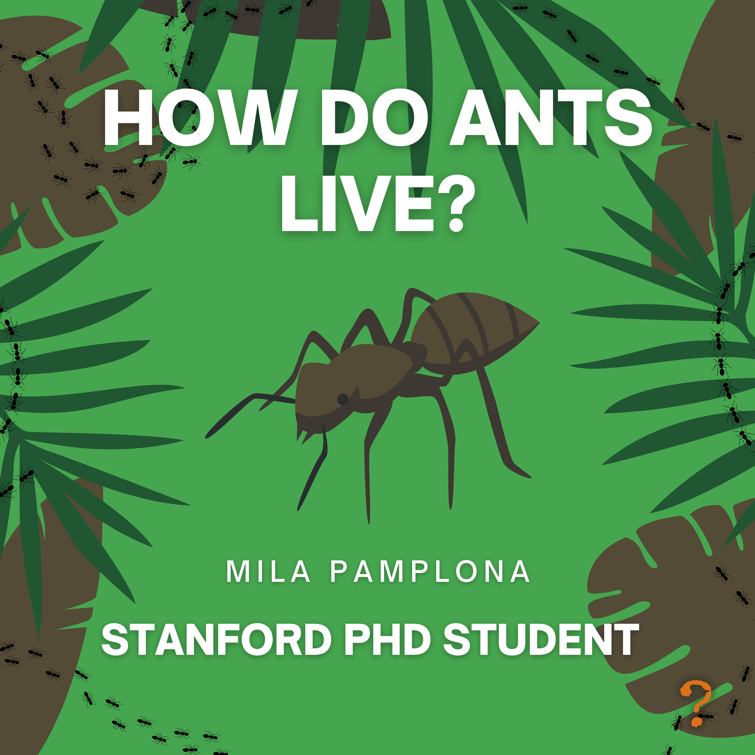 Simple Questions Podcast