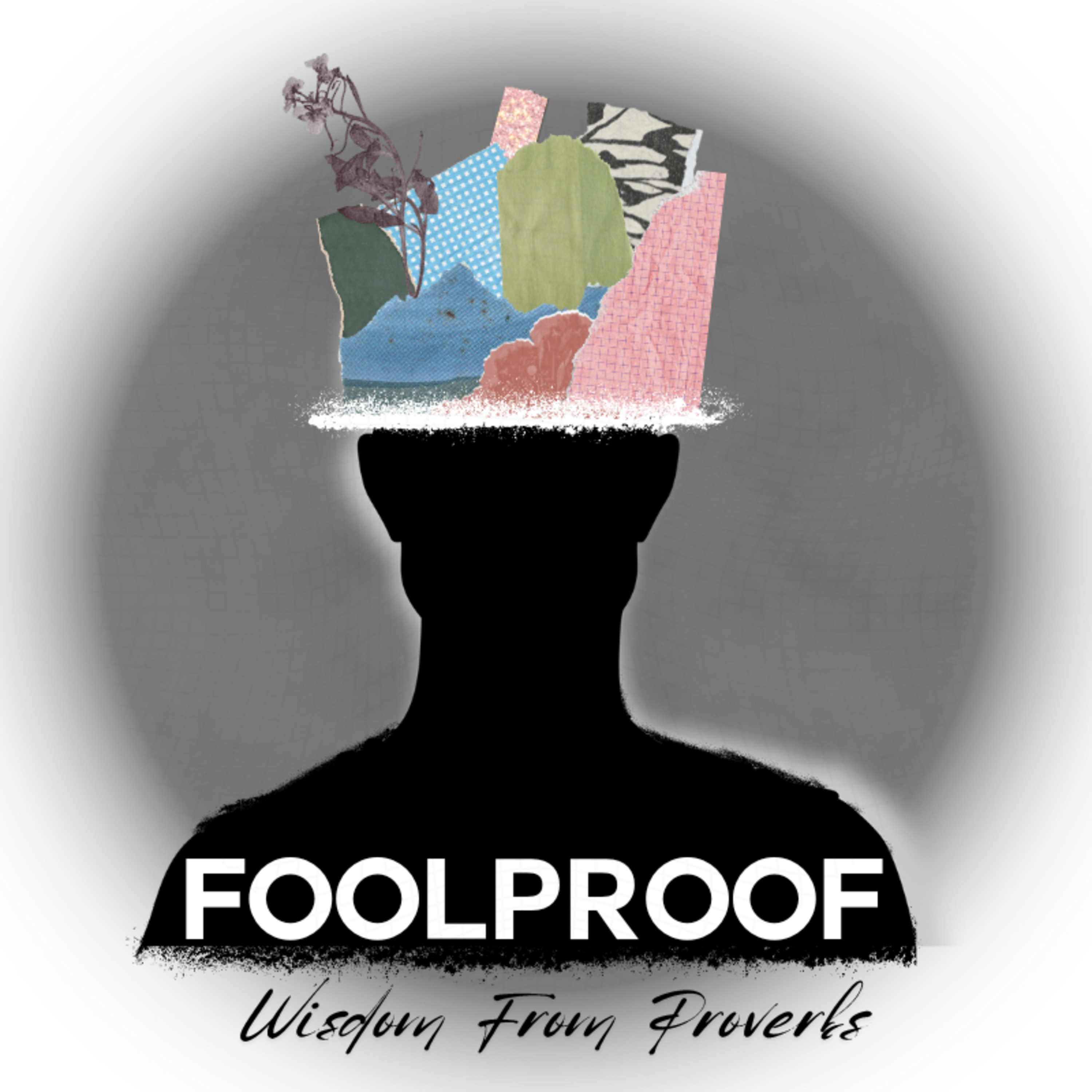 The Foolproof Life - Proverbs episode artwork