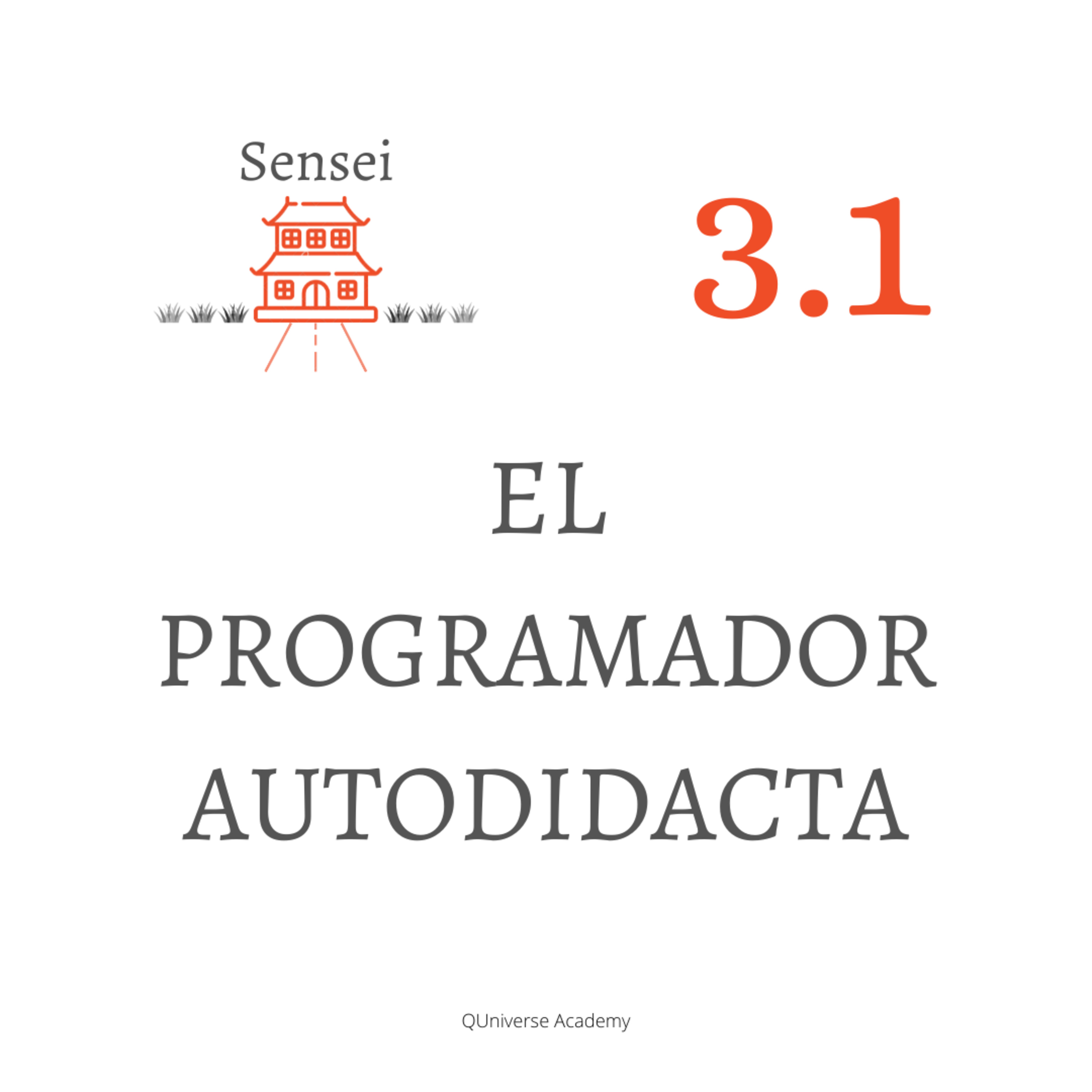 3.1. El programador autodidacta (reedición)