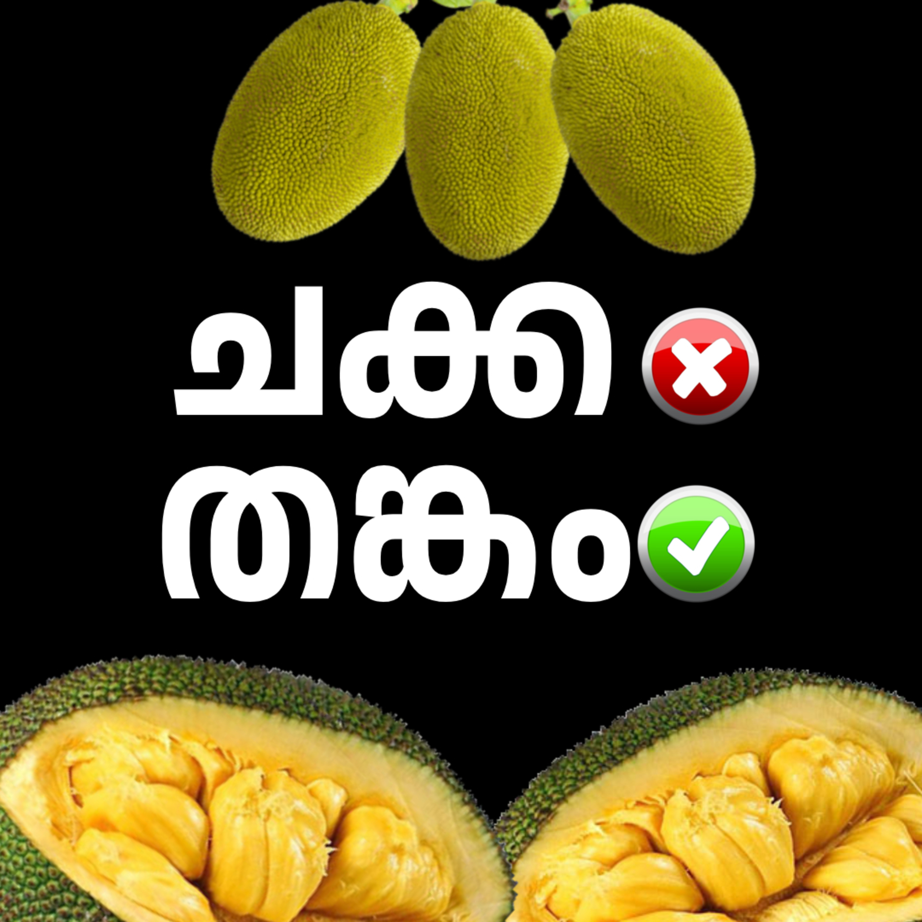Build Income Through Jackfruit | Business Ideas Malayalam | Kalippans Talk Podcast episode artwork