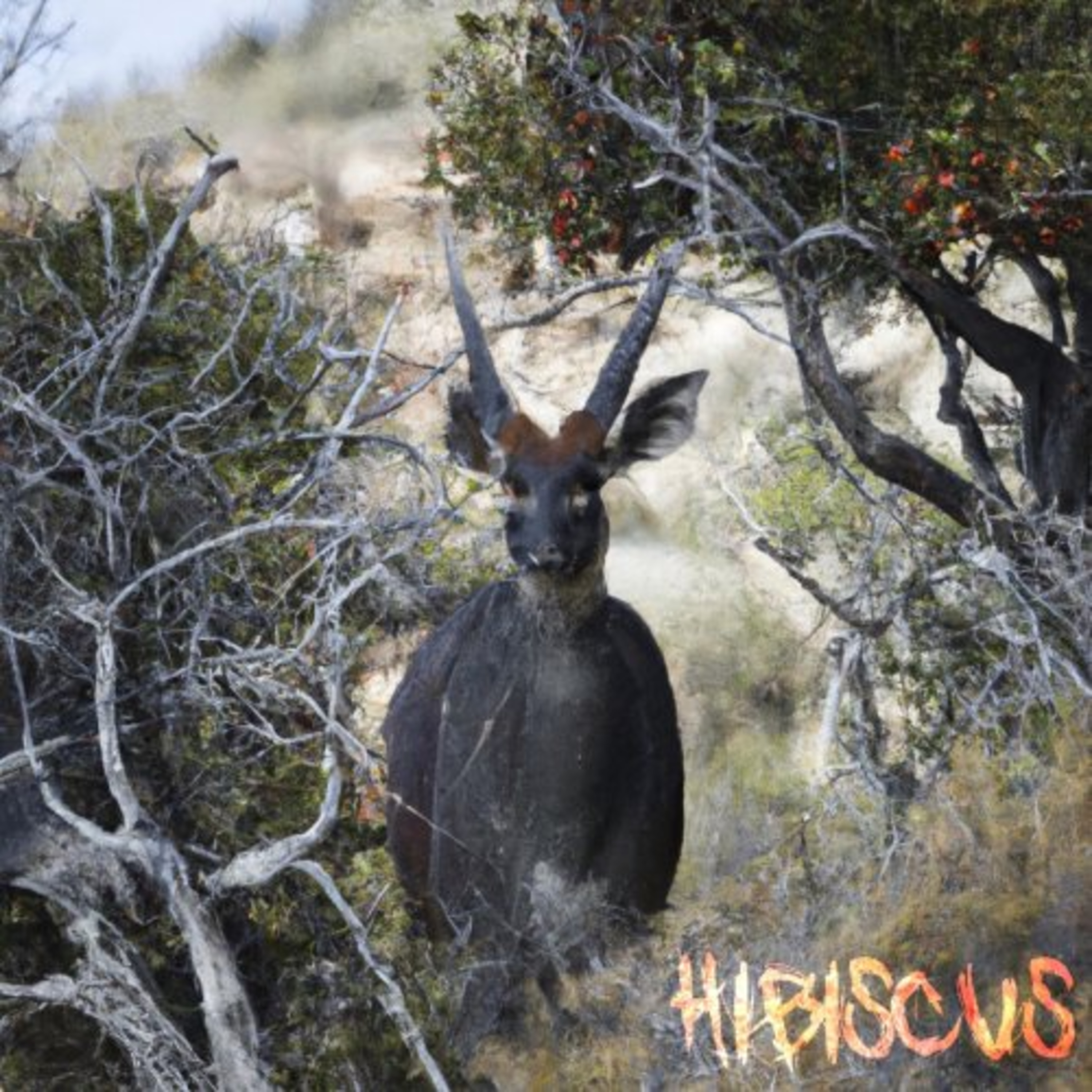 Shellshocked Radio Recommendations - Lost Marakas - WHY DOES NO ONE TEXT ME BACK?