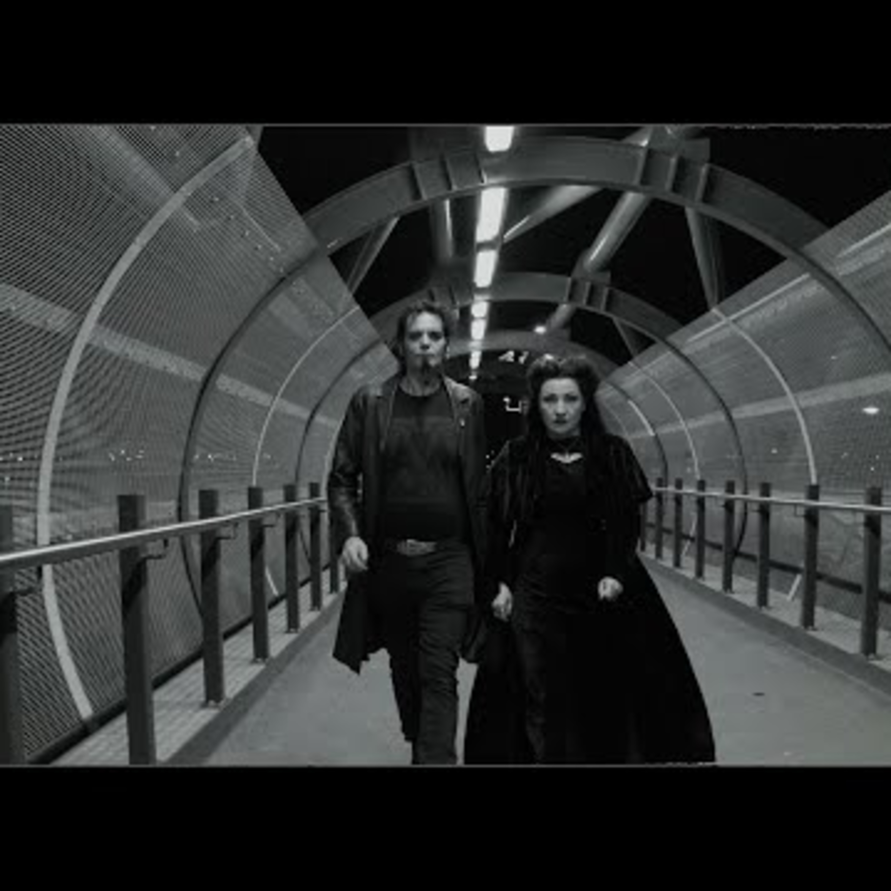 Shellshocked Radio Recommendations - Velatine - Fck You All