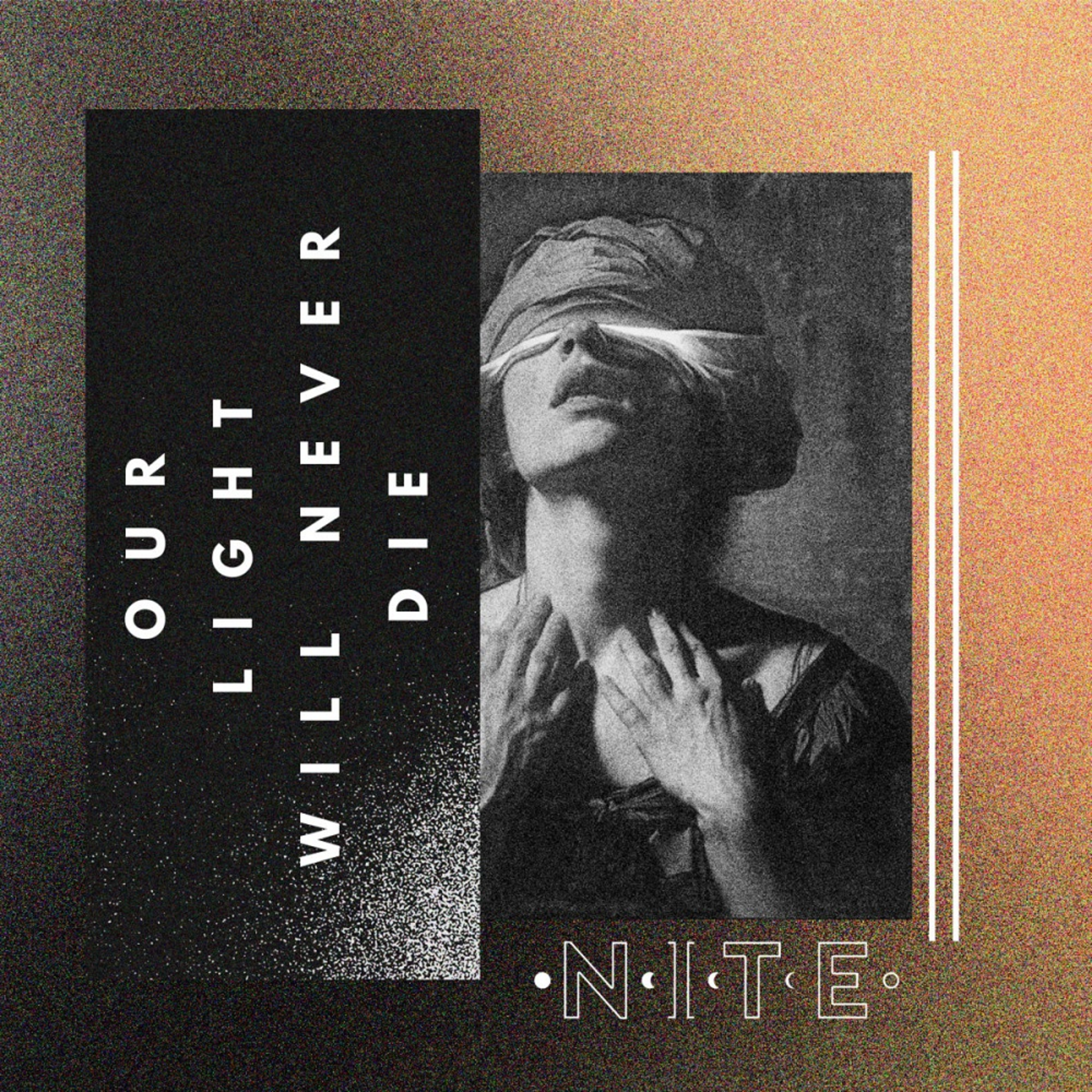 Shellshocked Radio Recommendations - NITE - Our Light Will Never Die