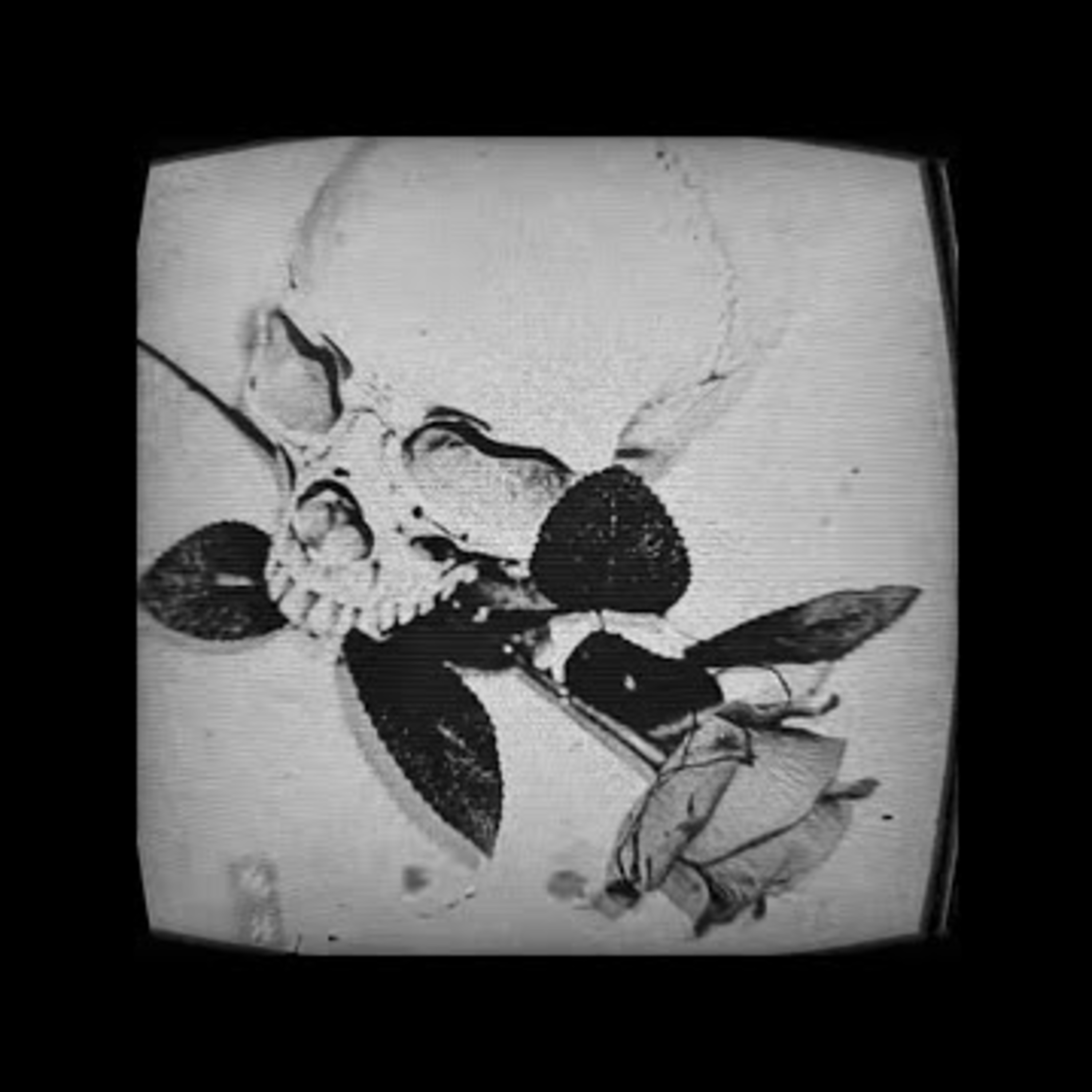 Shellshocked Radio Recommendations - Good ridddance - Soft Betray - Dark Electronic Music / Darkwave