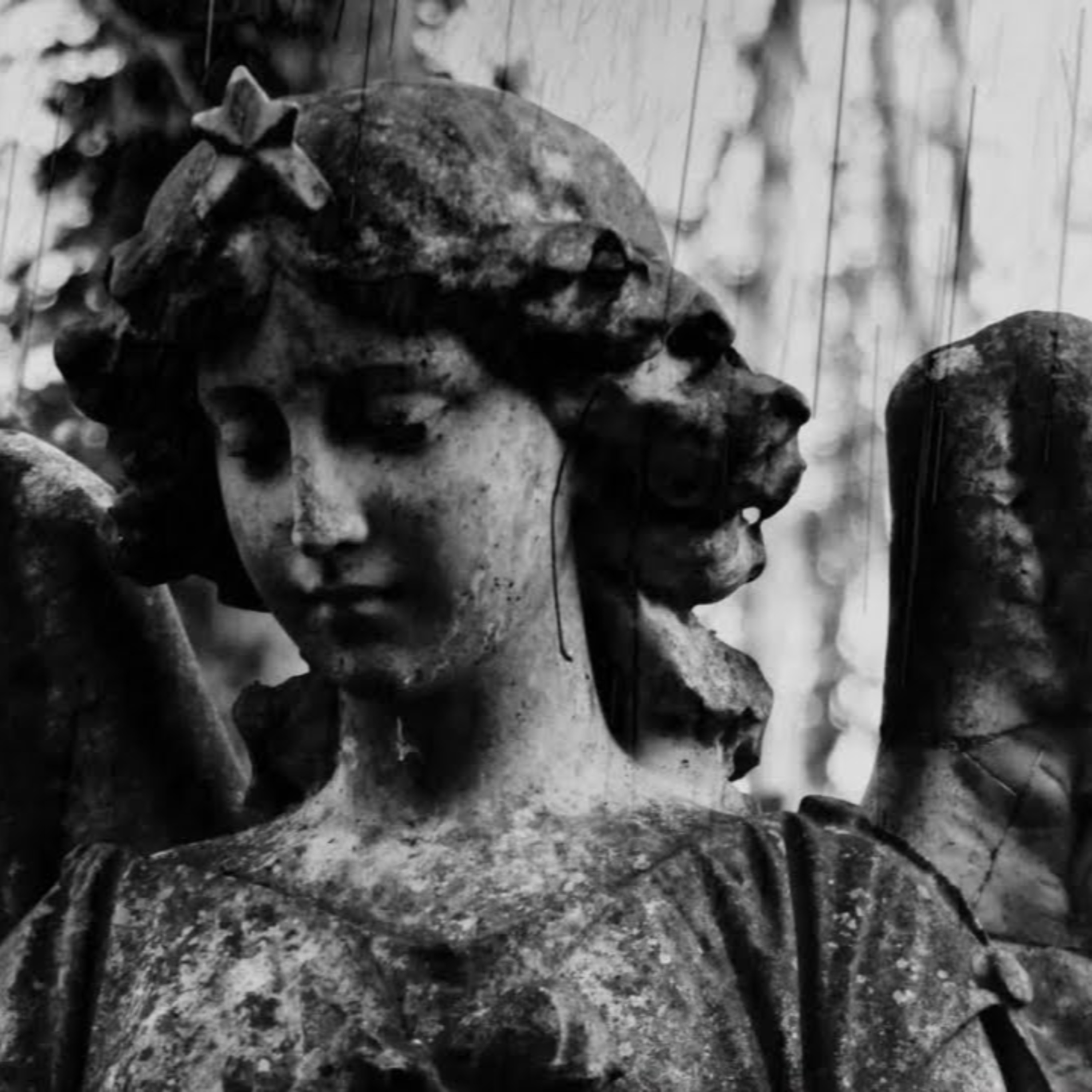 Shellshocked Radio Recommendations - David Delbridge - I Warned You - Industrial Alternative Rock