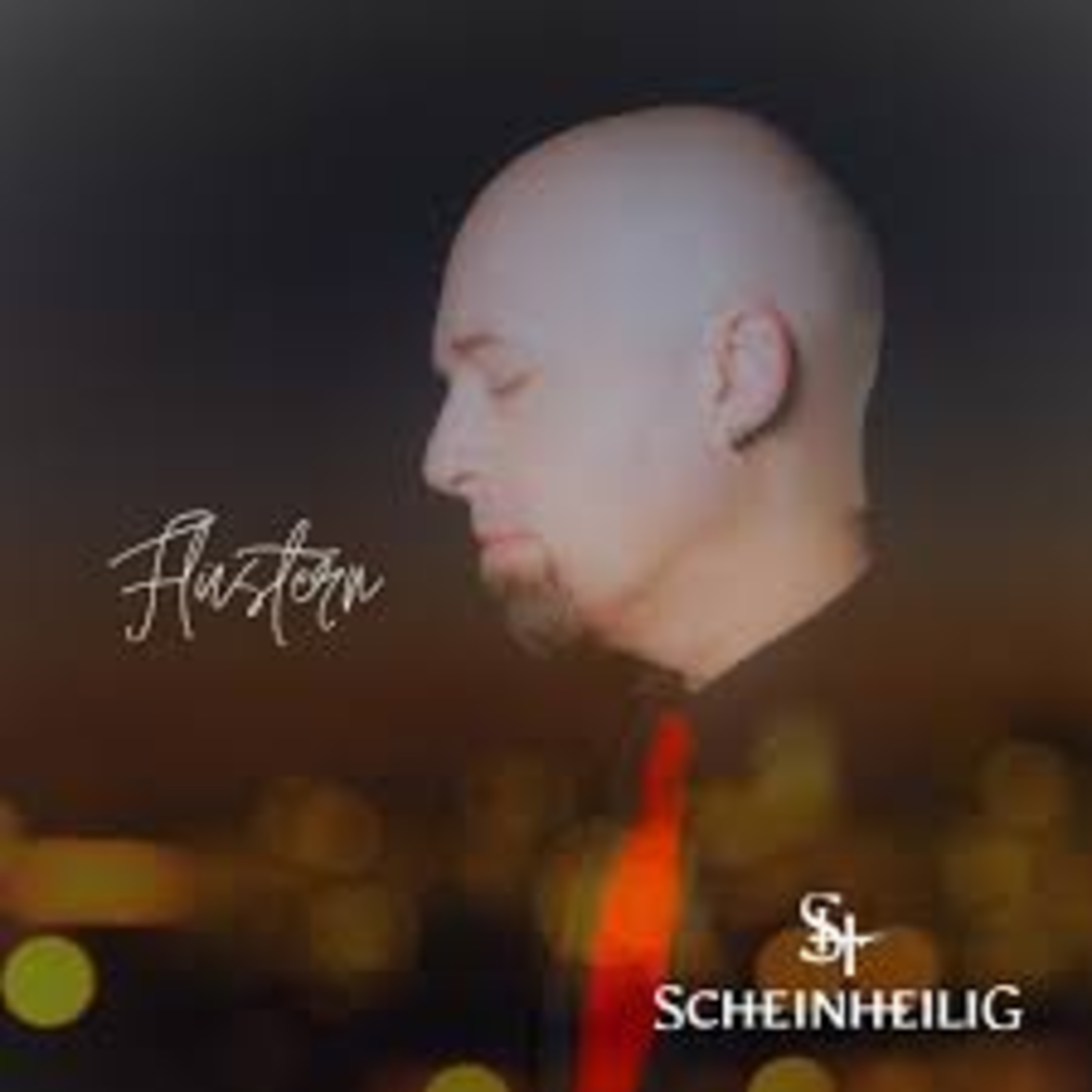 Shellshocked Radio Recommendations - Scheinheilig - Flüstern - Unheilig / Der Graf Cover