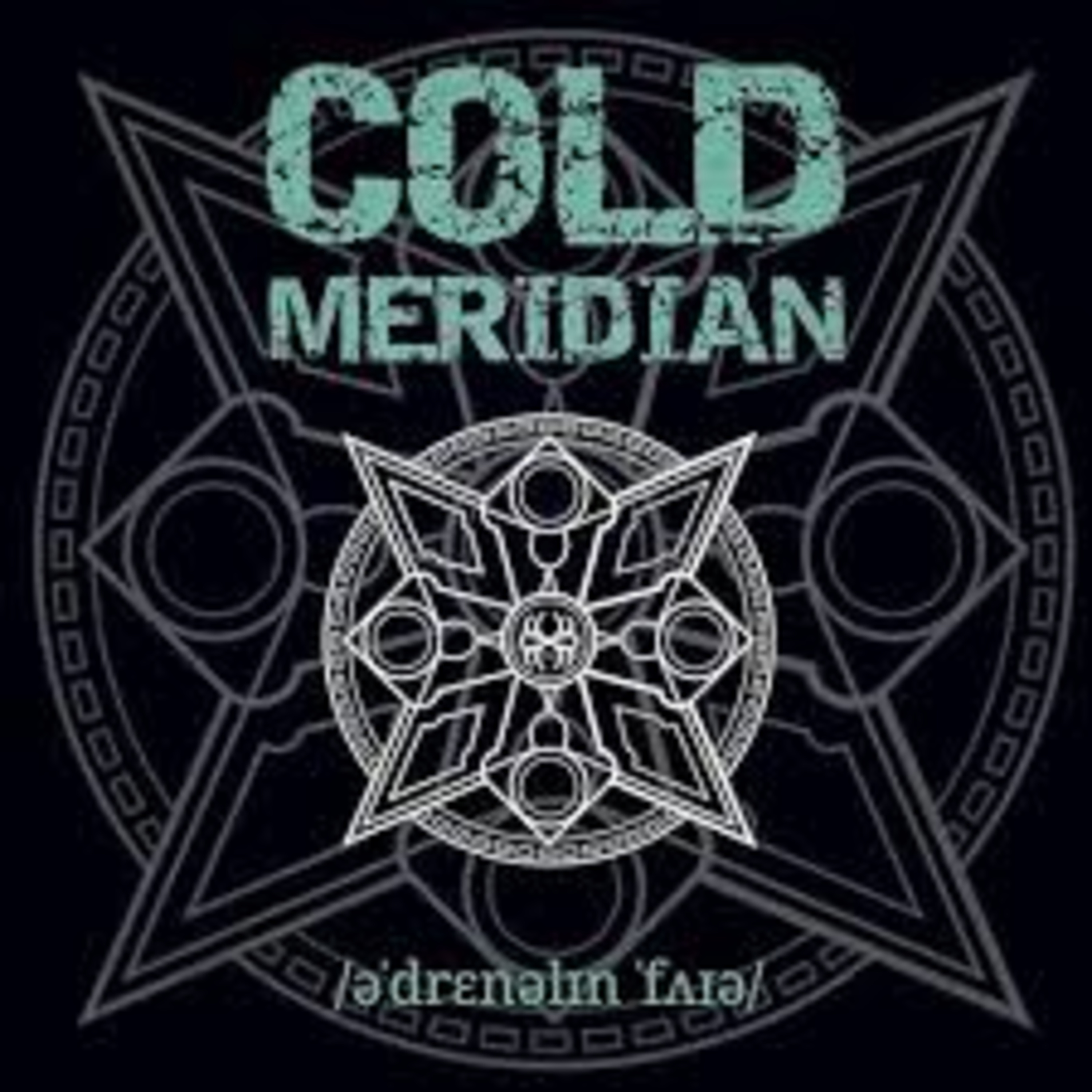 Shellshocked Radio Recommendation - Cold Meridian - Adrenaline Fire - Bleak Nihilistic Dystopia Core