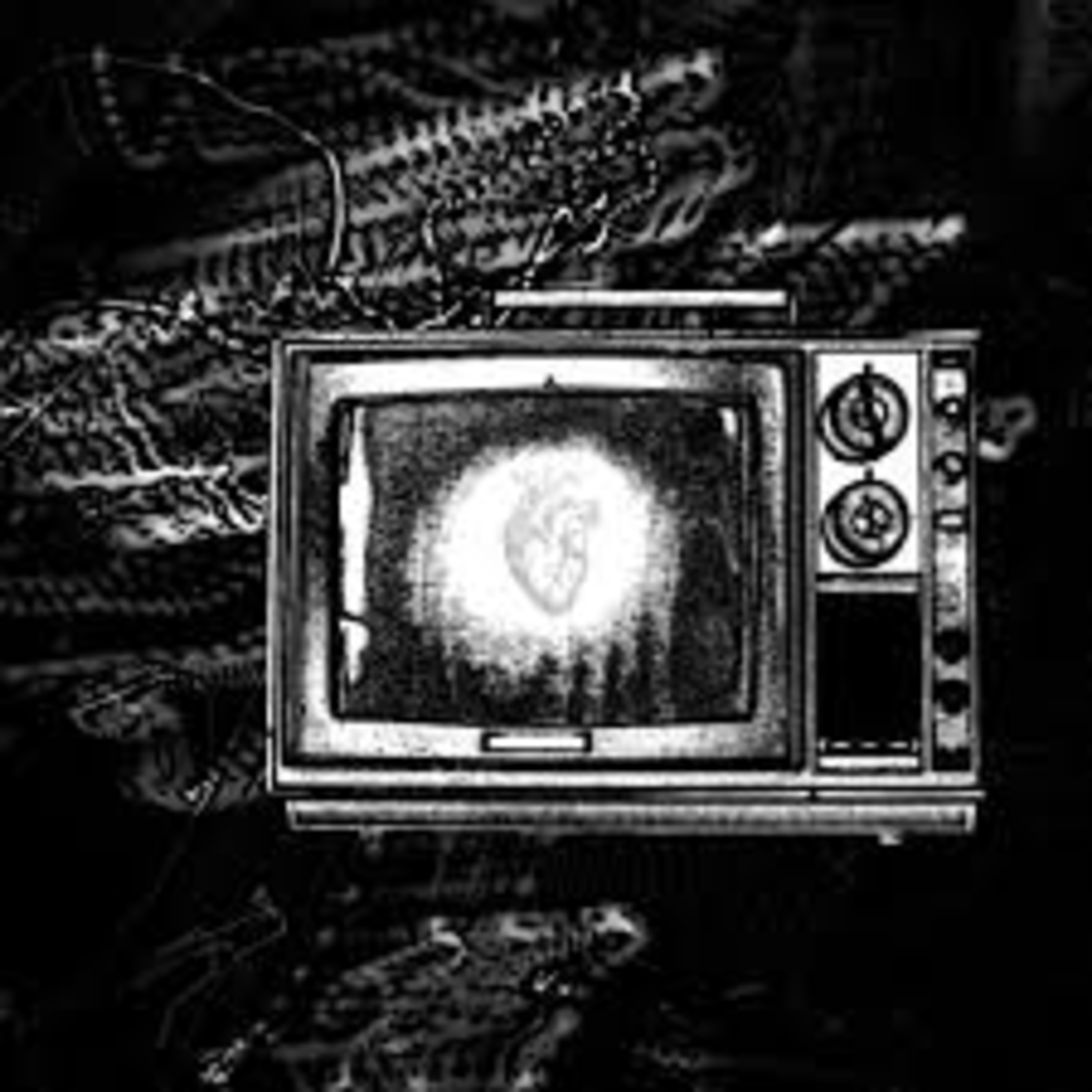 Shellshocked Radio Recommendations - The Overhold - Nu - Retro Synth inspired Doom Death Metal Music