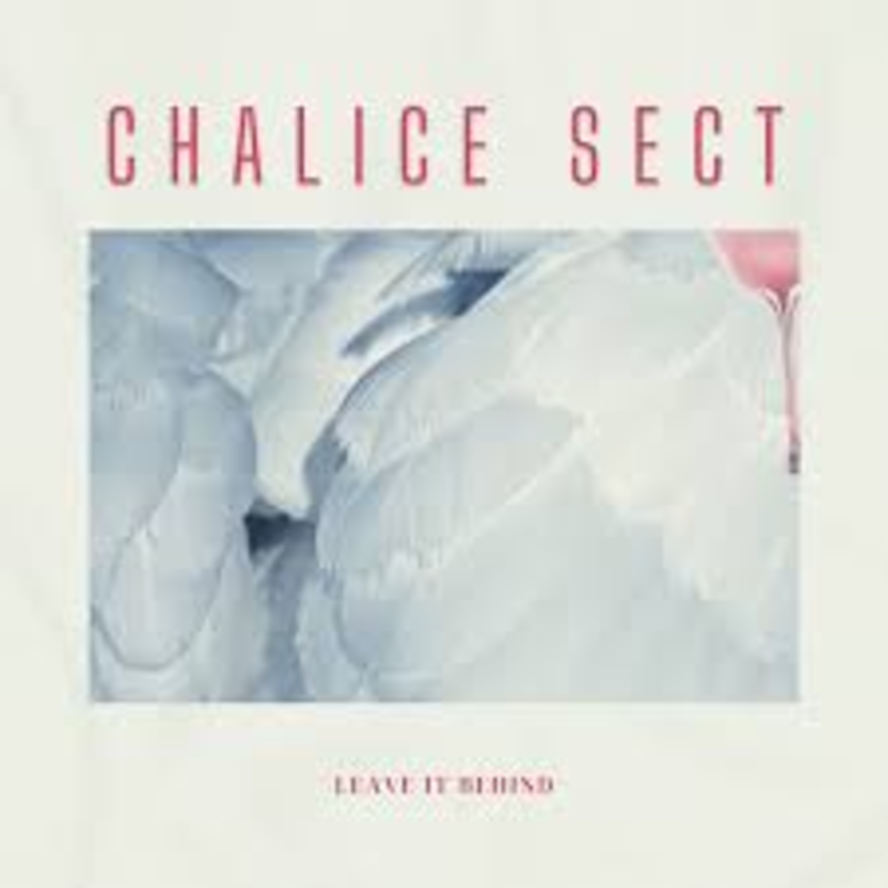 Shellshocked Radio Music Recommendations