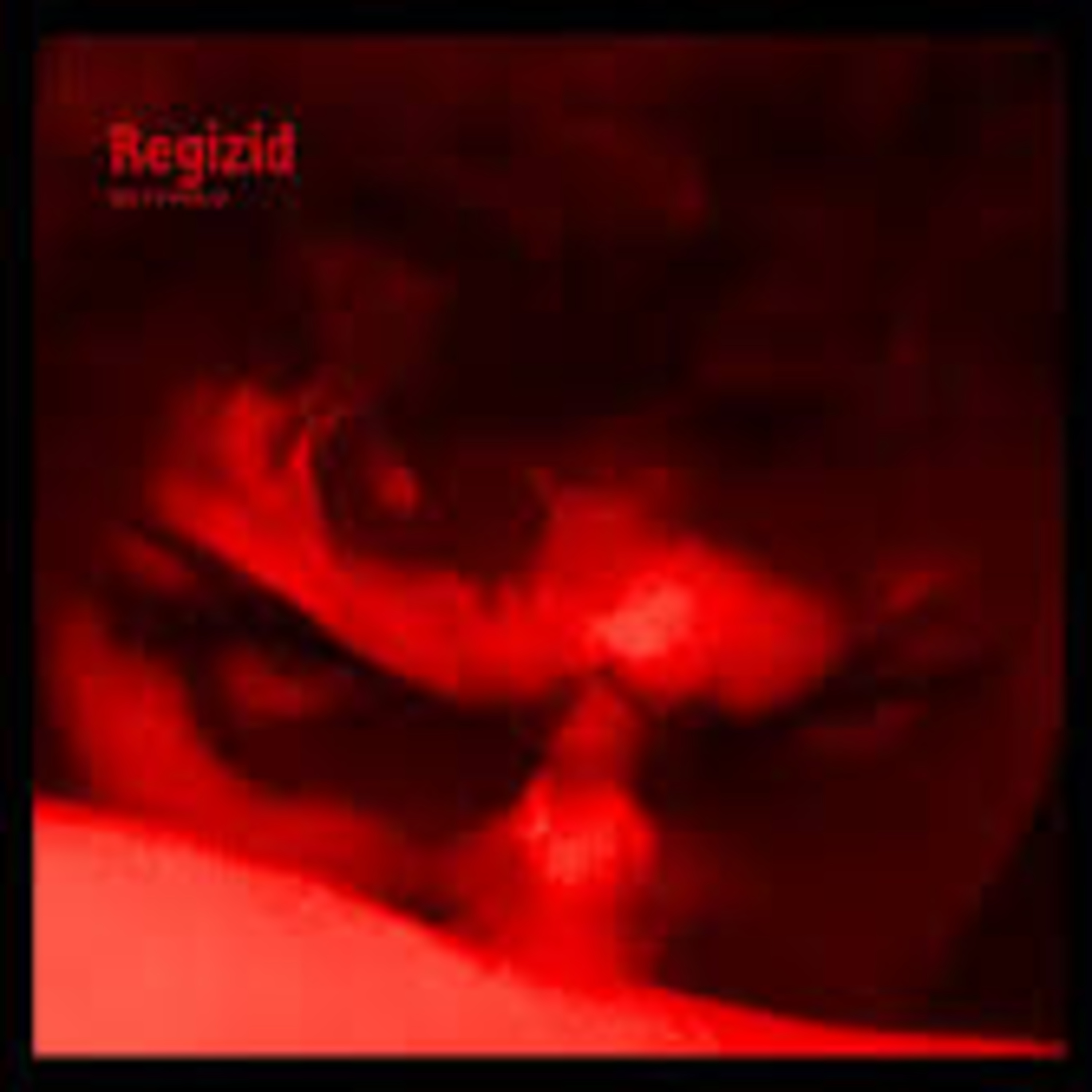 Shellshocked Radio Recommendations - Gotthold - Regizid - Dark NDH / German Rock / Metal