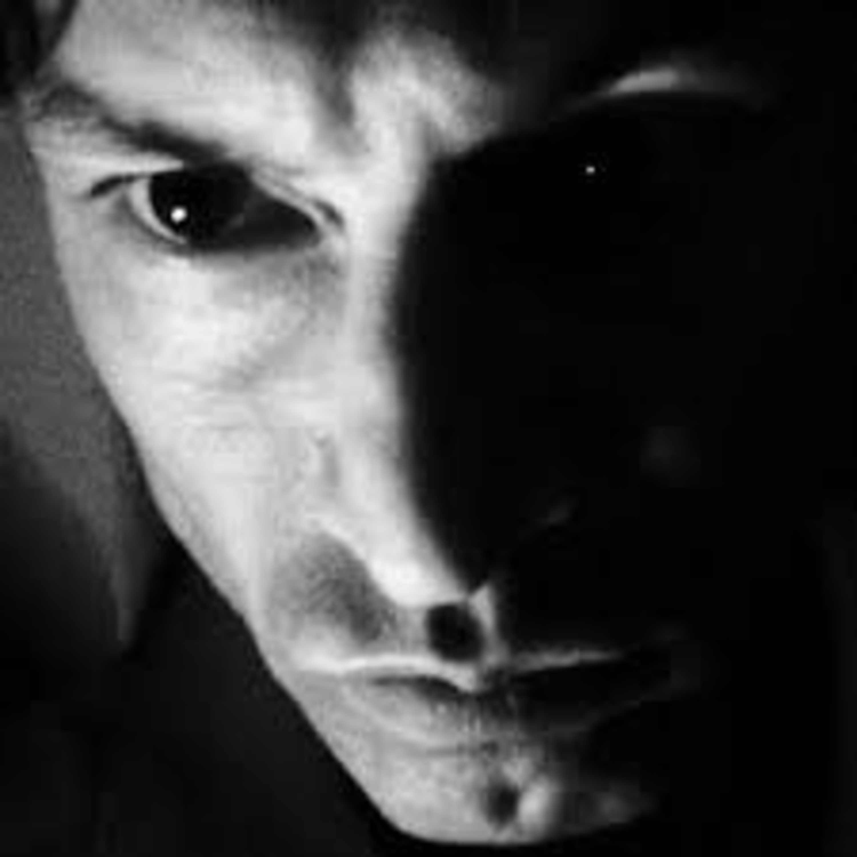 Shellshocked Radio Music Recommendations