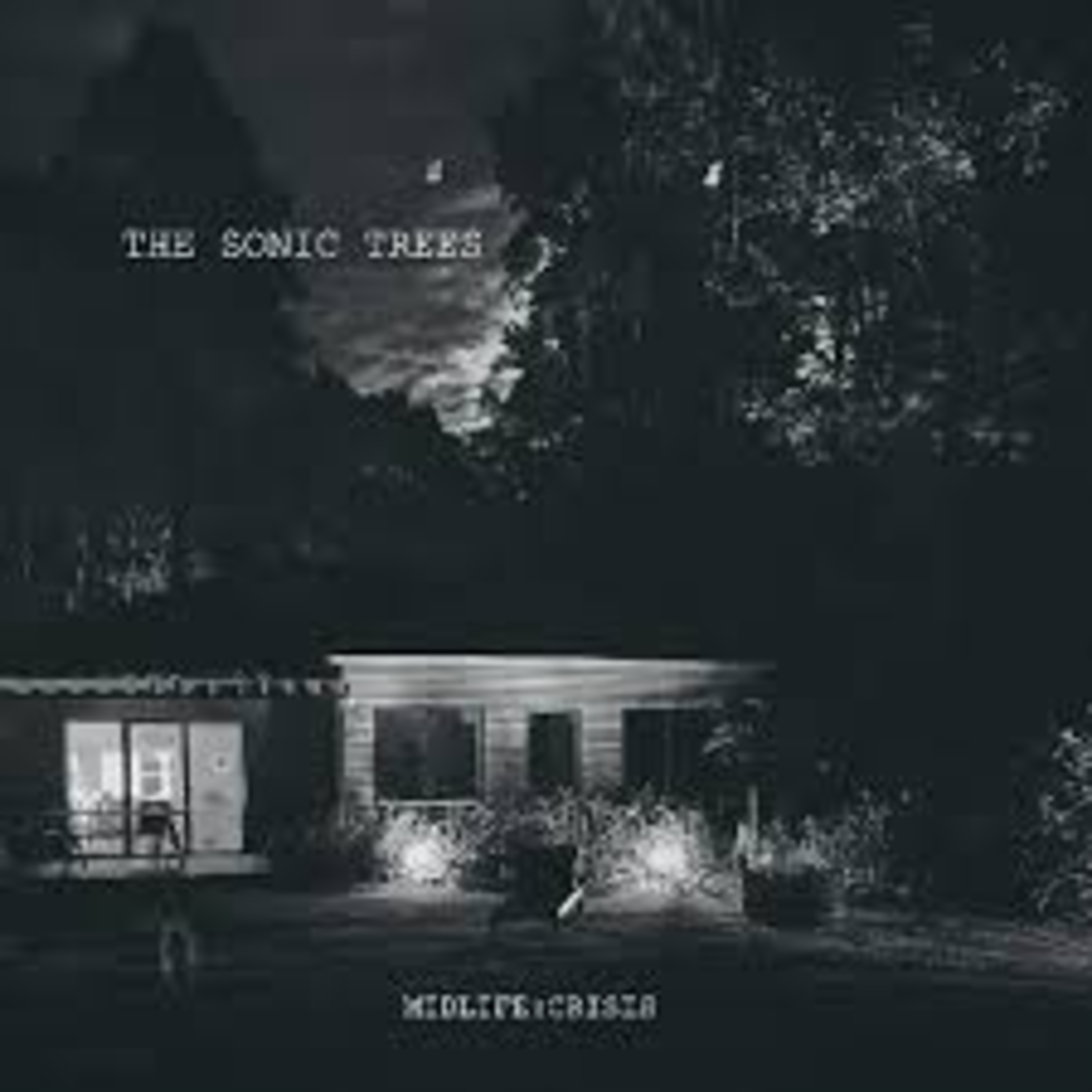 Shellshocked Radio Recommendations - The Sonic Trees - Give me something beautiful - German Post Punk