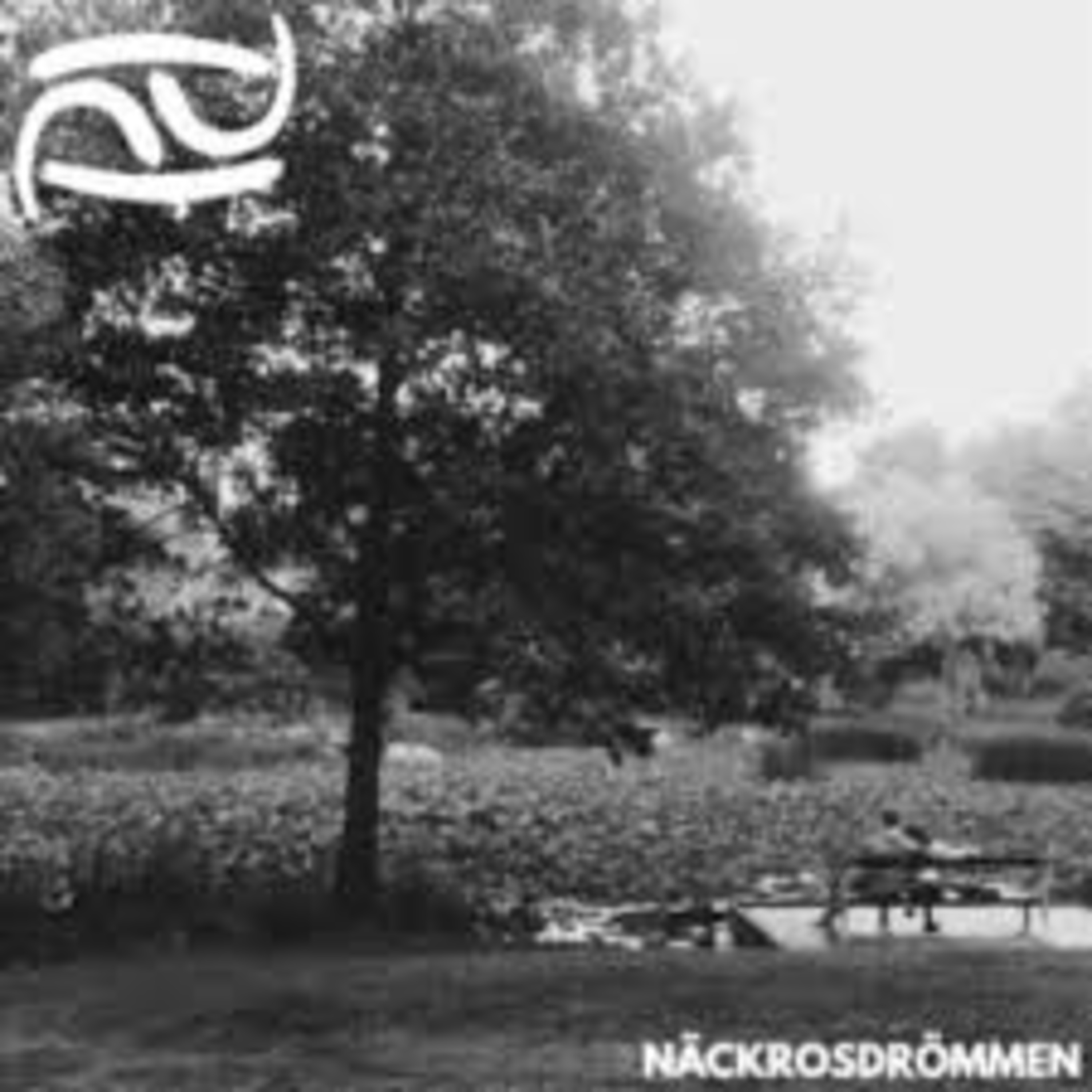 Shellshocked Radio Music Recommendations