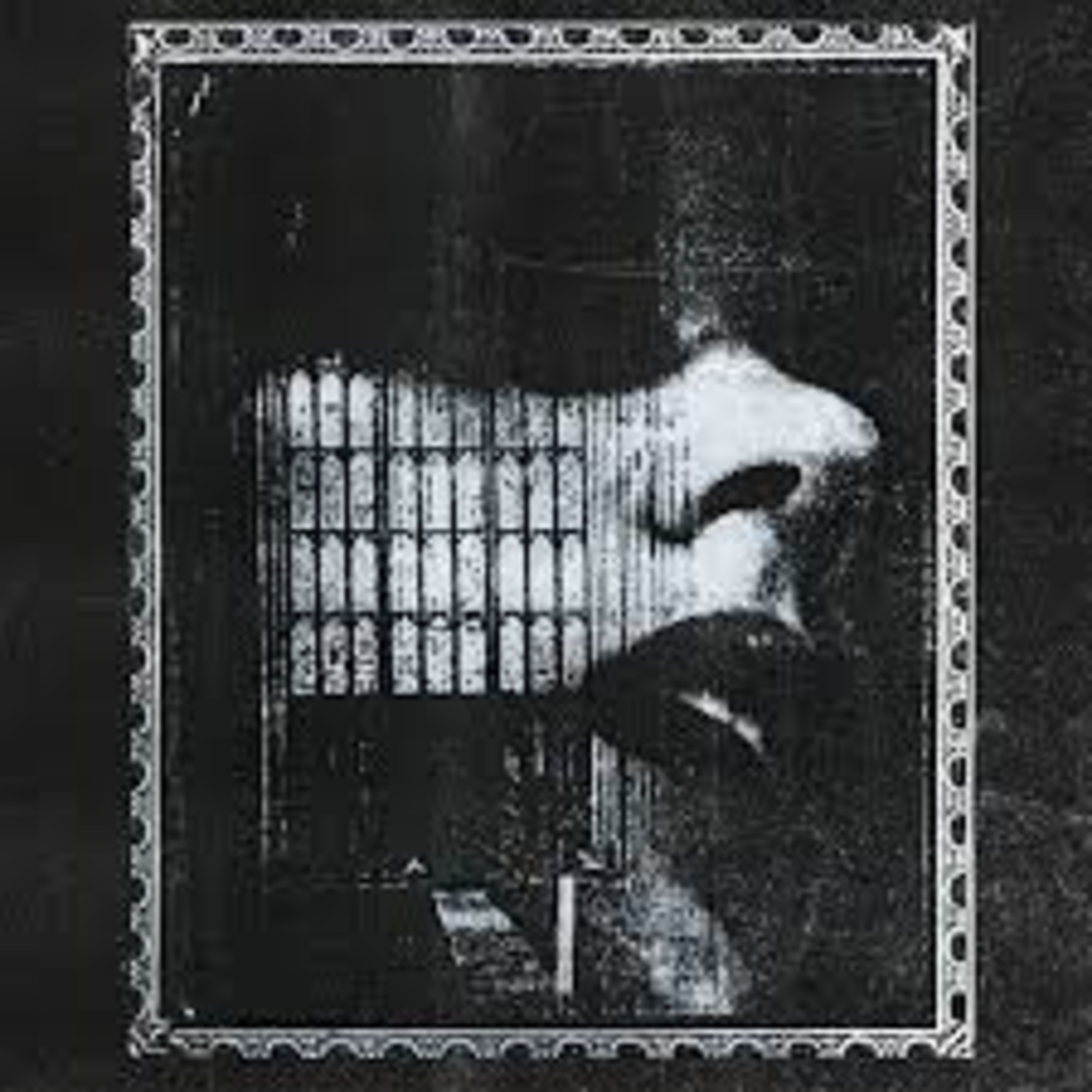 Shellshocked Radio Recommendations - NIGHTSISTER - Retrograde - Experimental Darkwave / Dream Pop