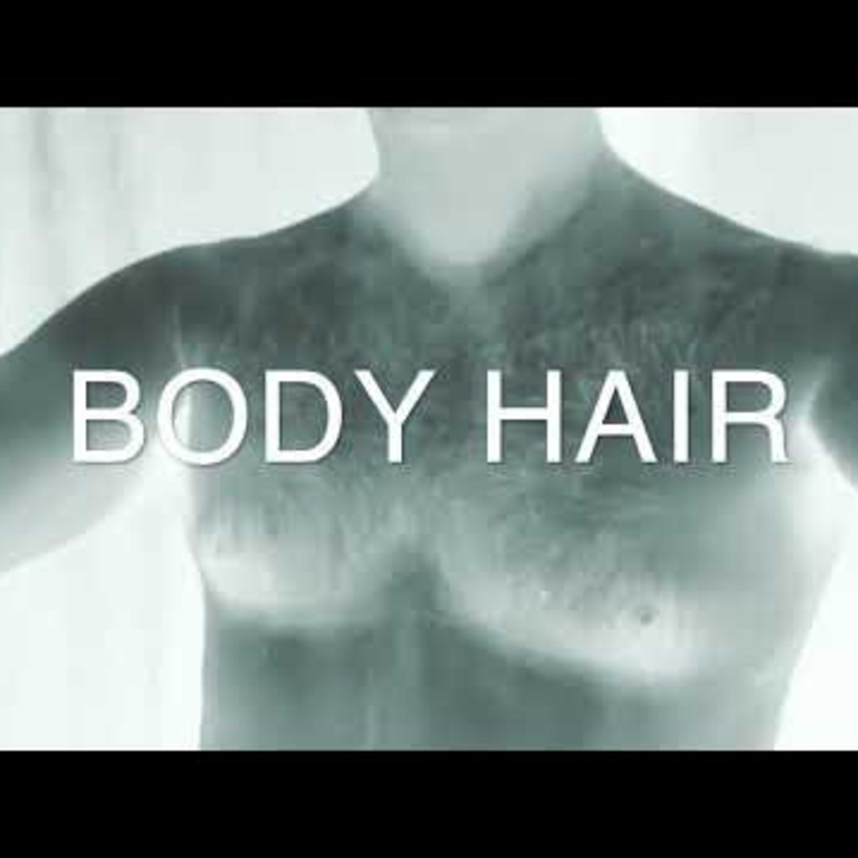 Shellshocked Radio Recommendations - Herr Talman - Body Hair - Fun Electronic Music for the grown People episode artwork
